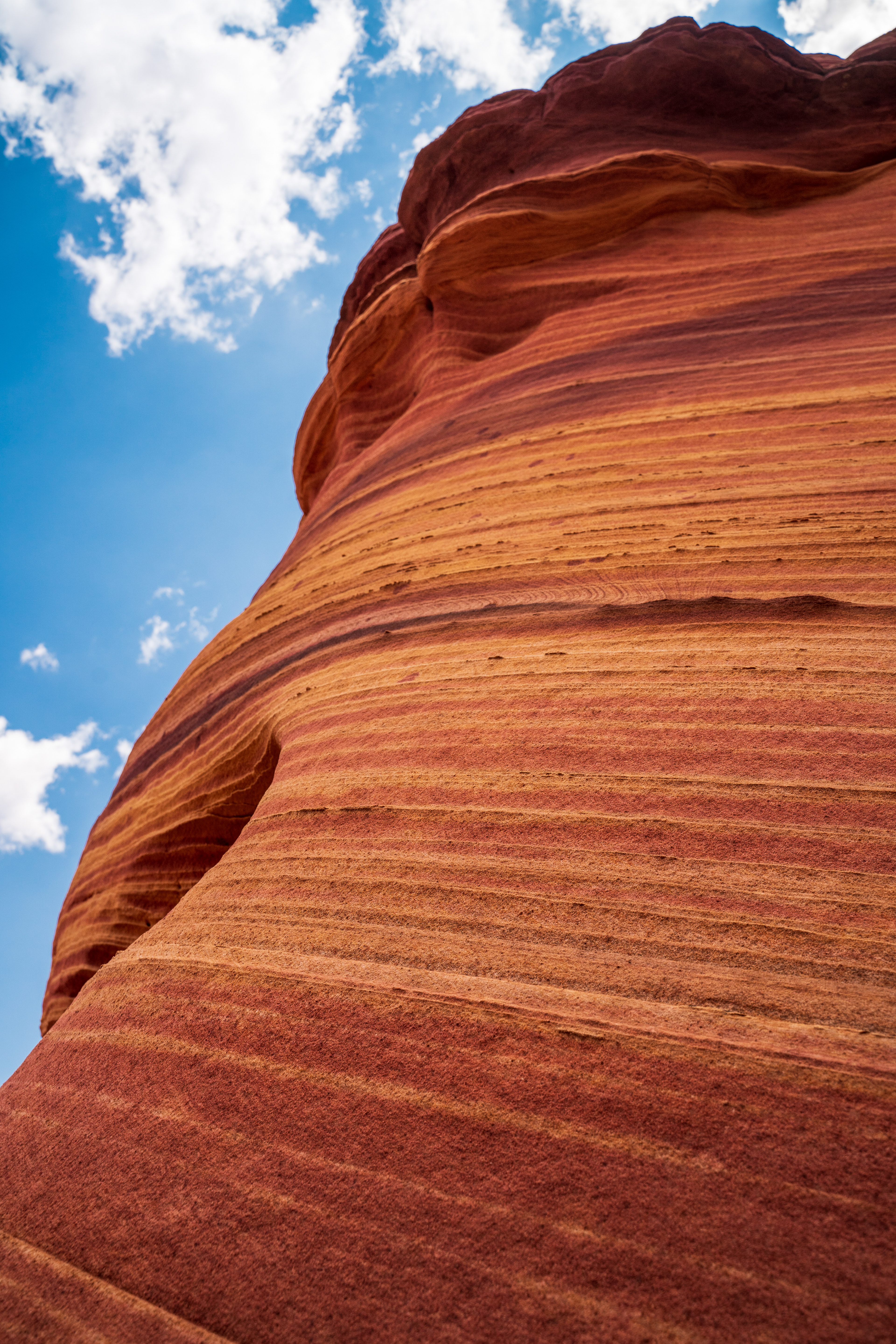 The Wave - Arizona