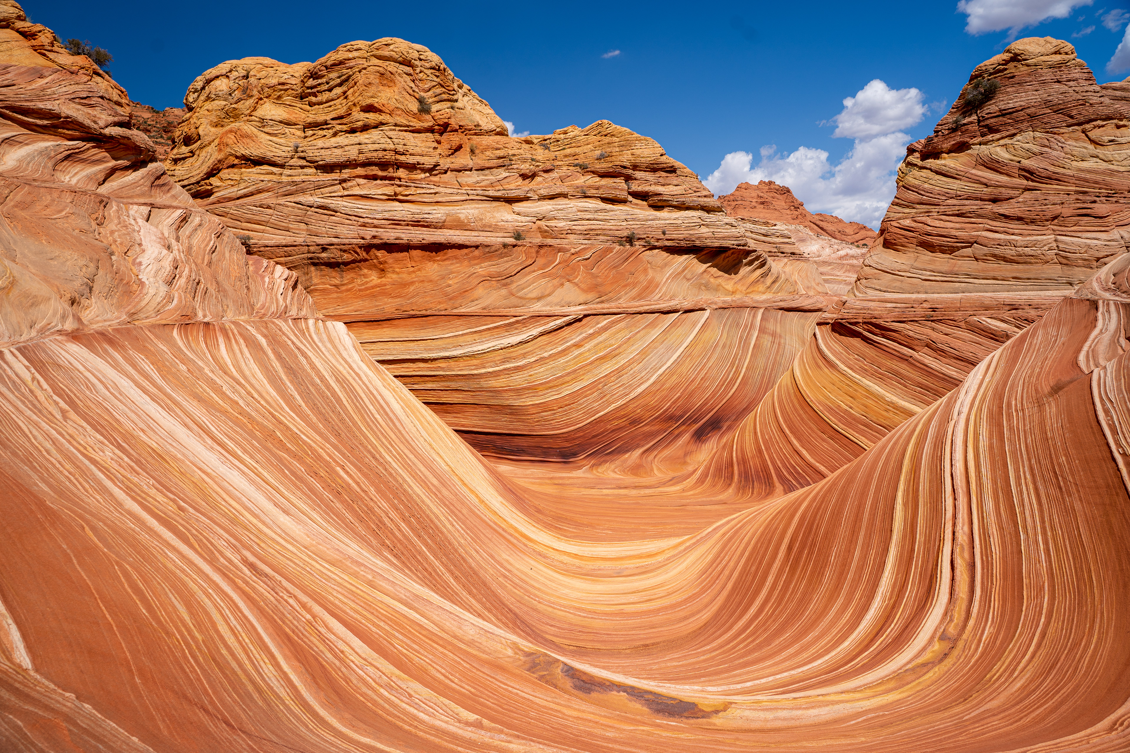 The Wave - arizona