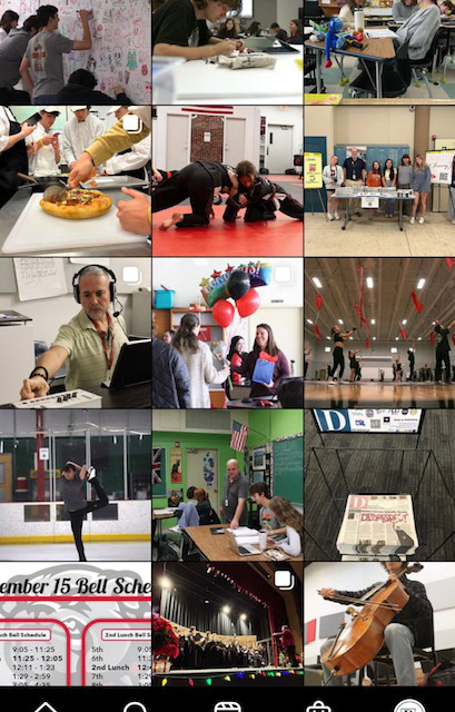 Our recent feed