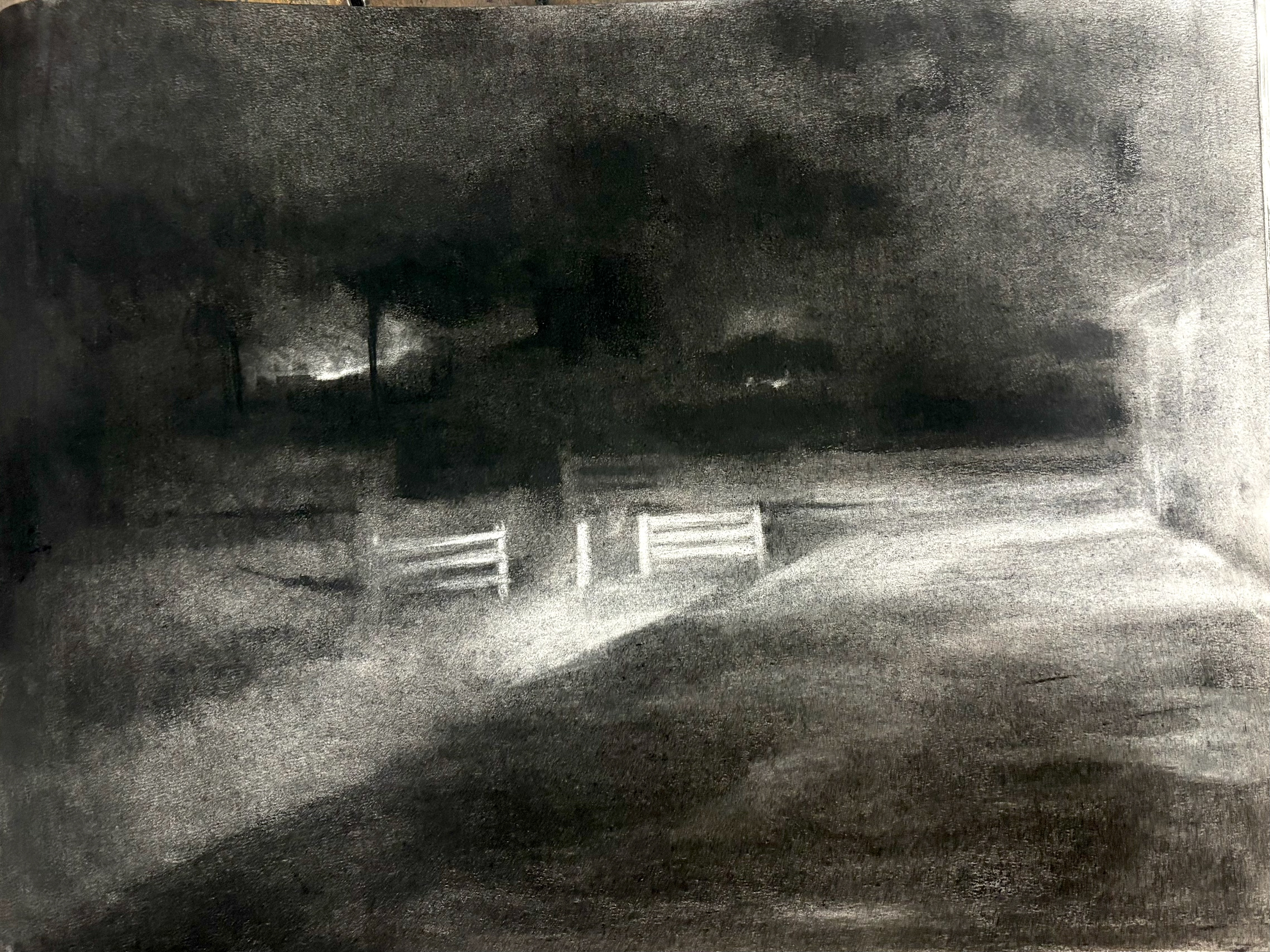 Beach Study