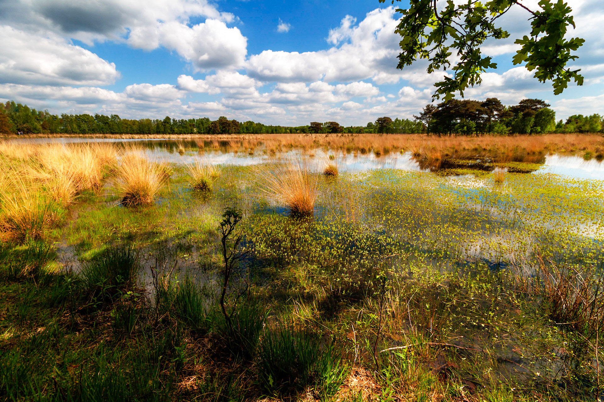 Huis Ter Heide
