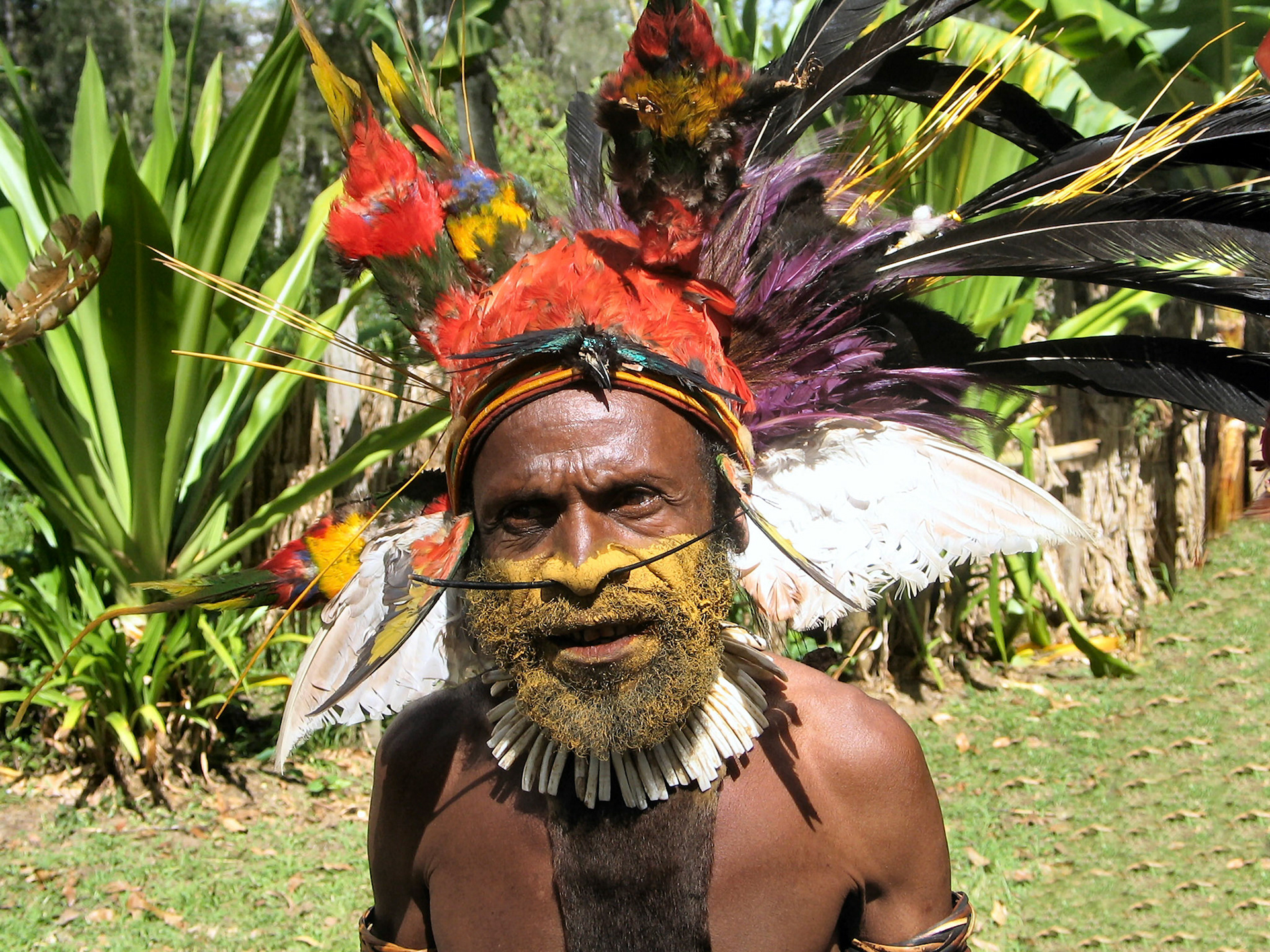 reis Sydney en PNG