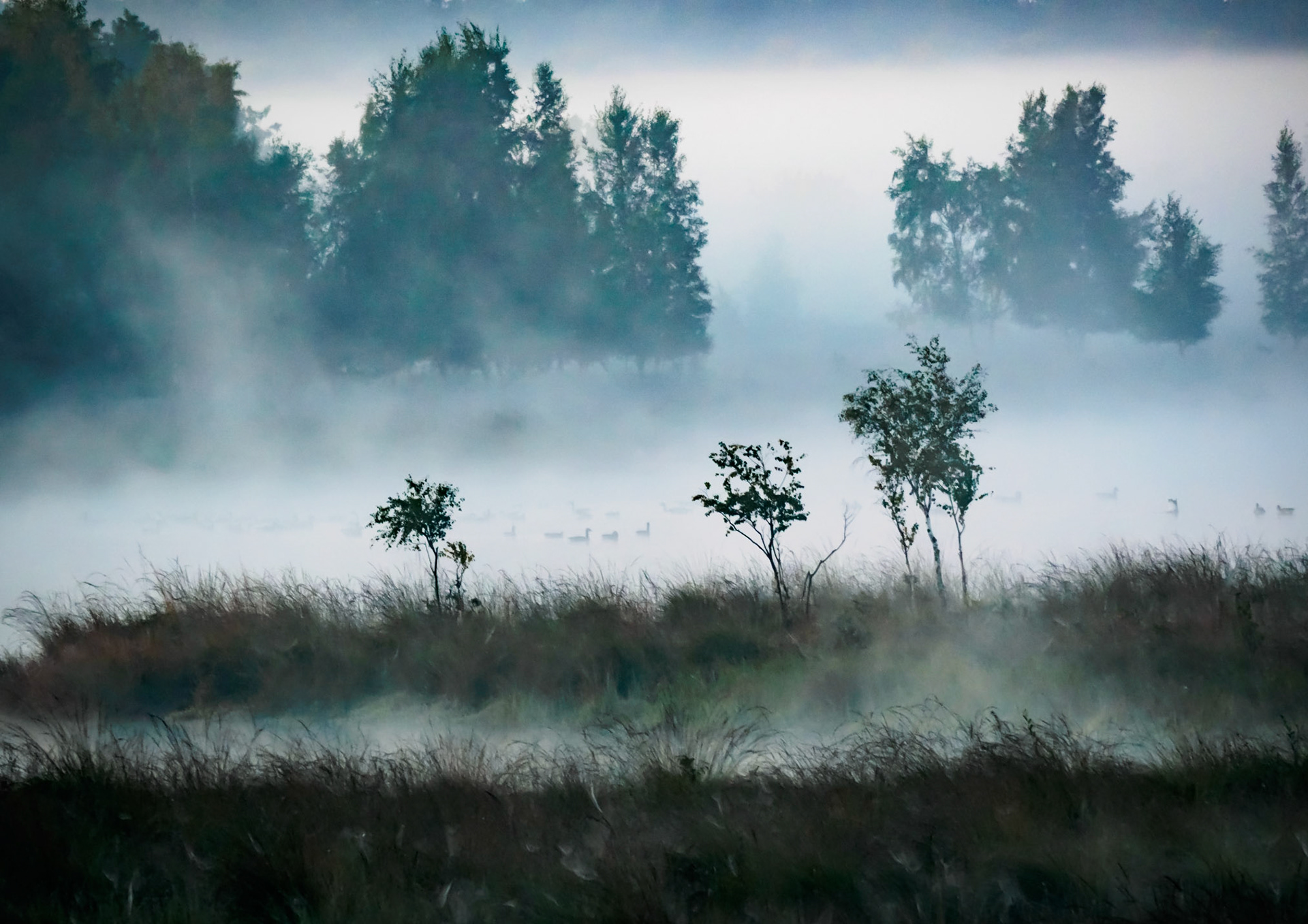 HuisTerHeide