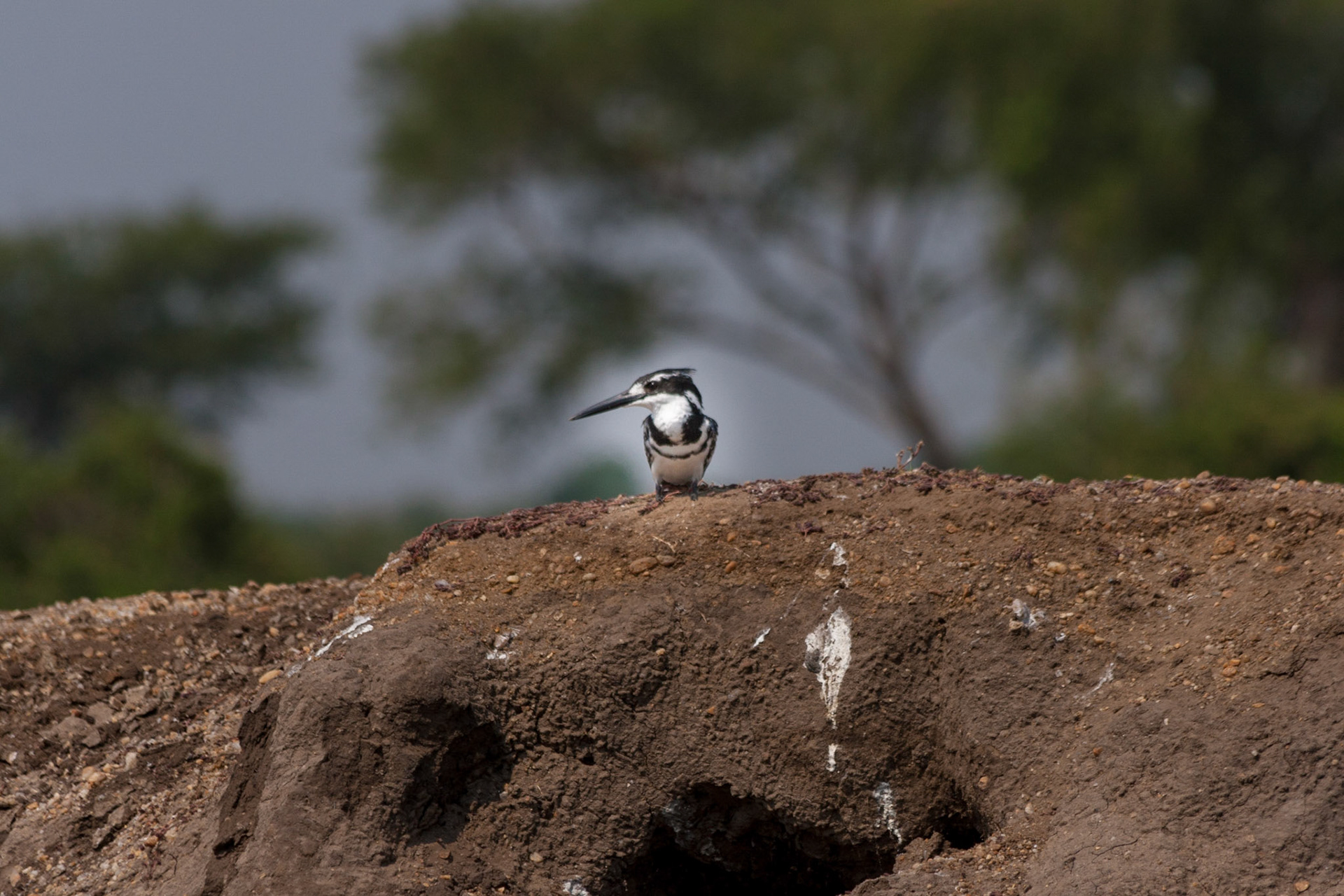 reis Uganda (Trektocht)
