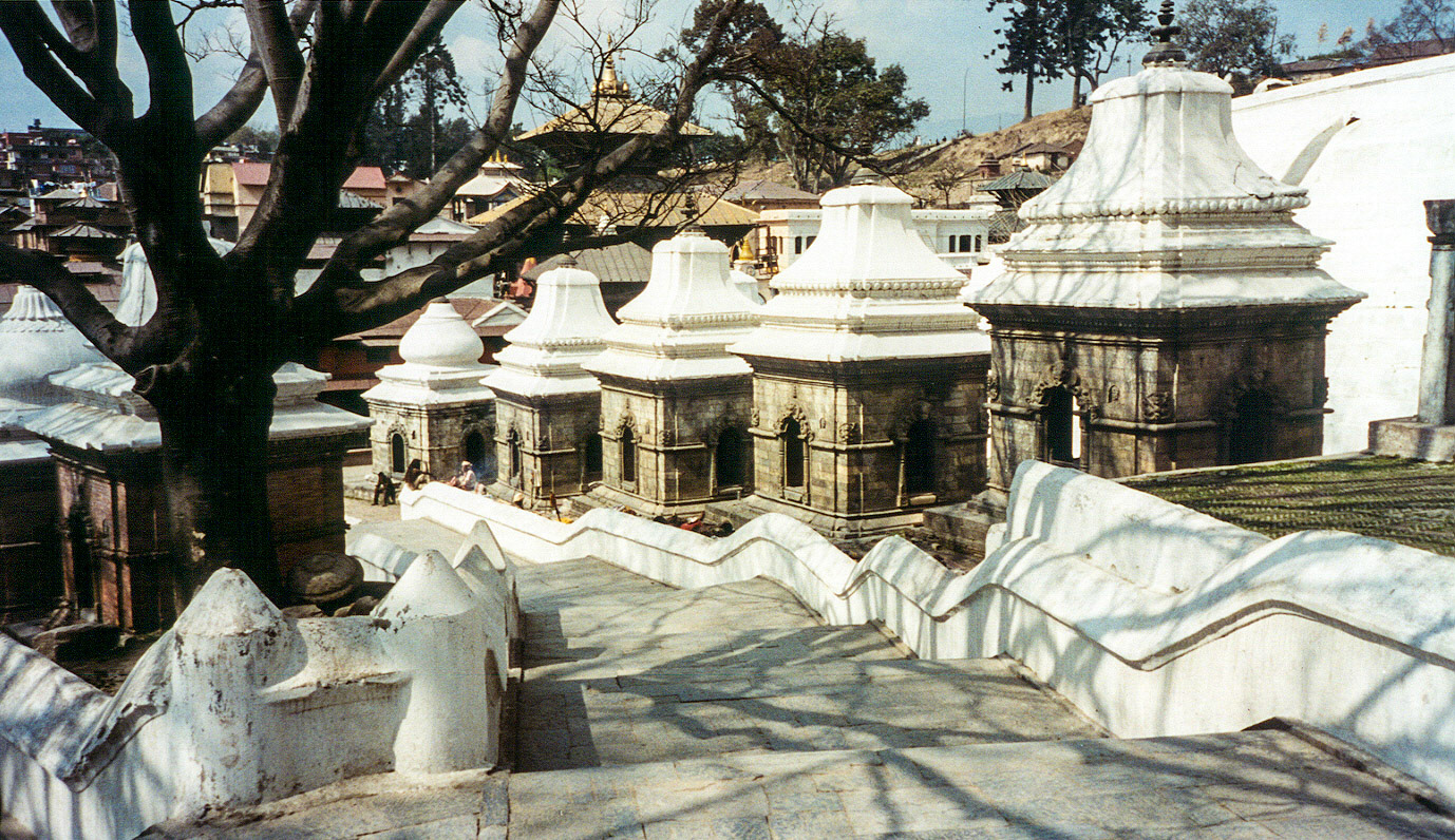 reis Nepal (Brecht)