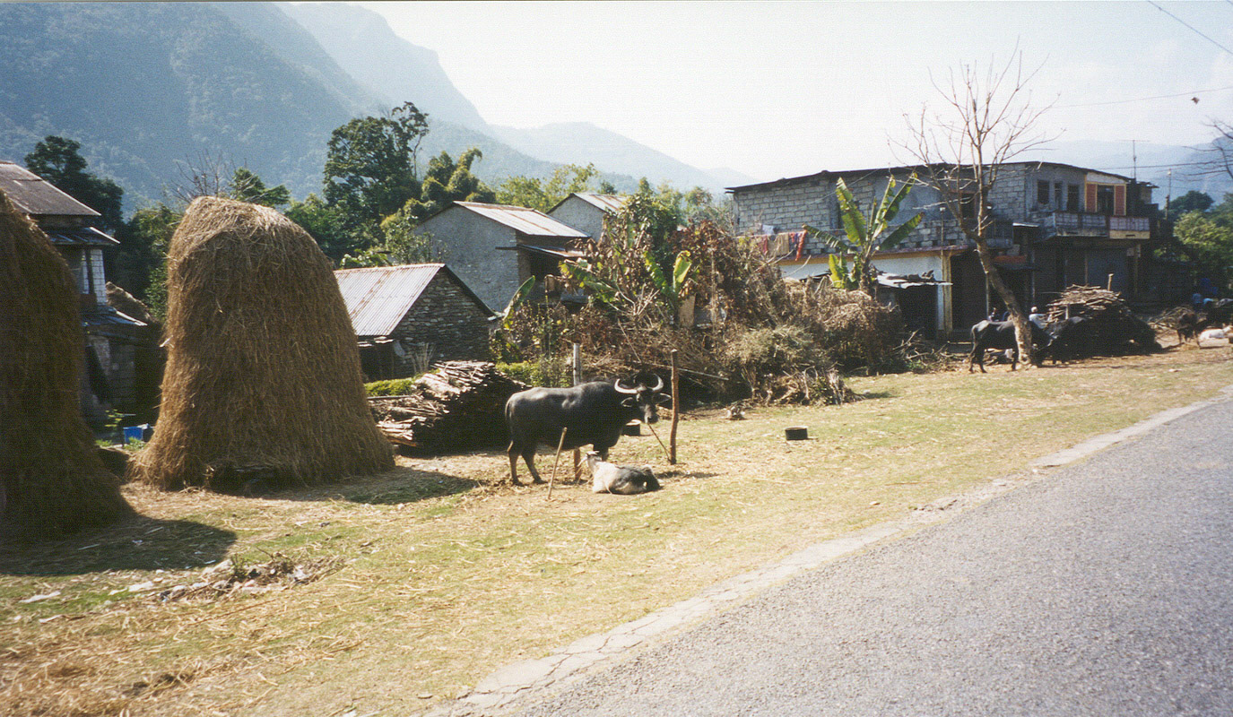 reis Nepal (Brecht)