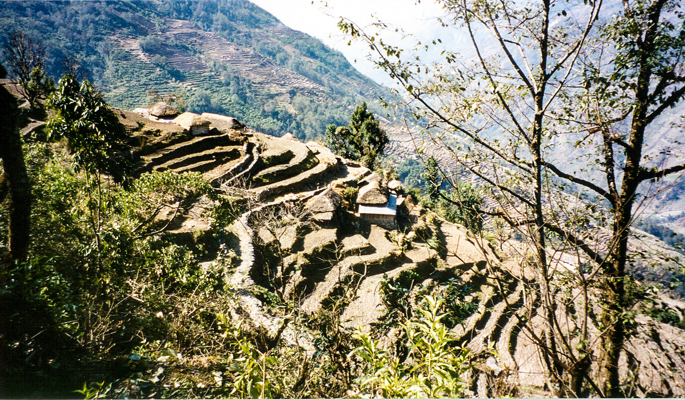 reis Nepal (Brecht)
