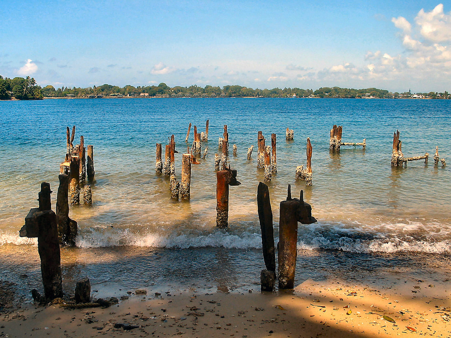reis Sydney en PNG