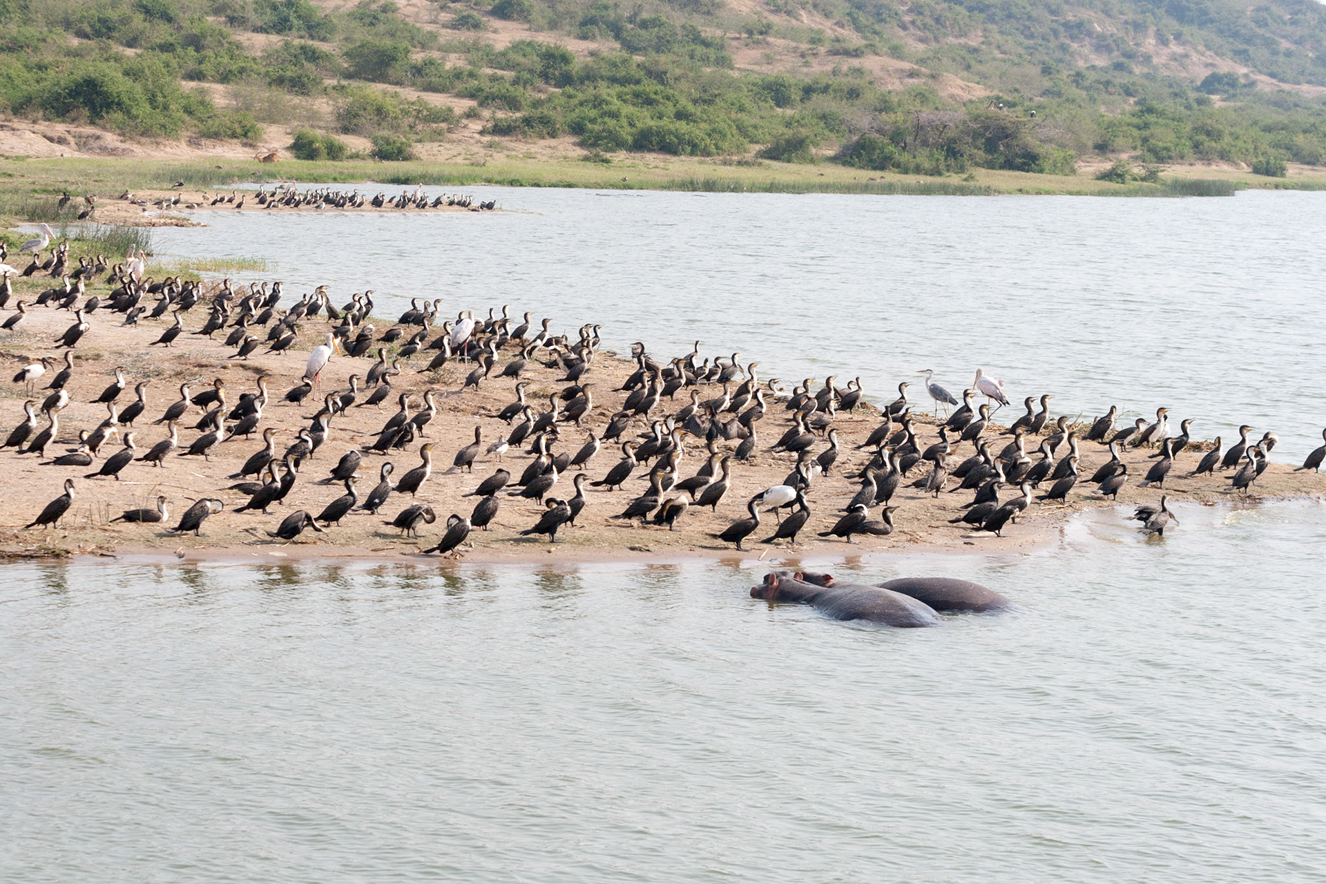 reis Uganda (Trektocht)