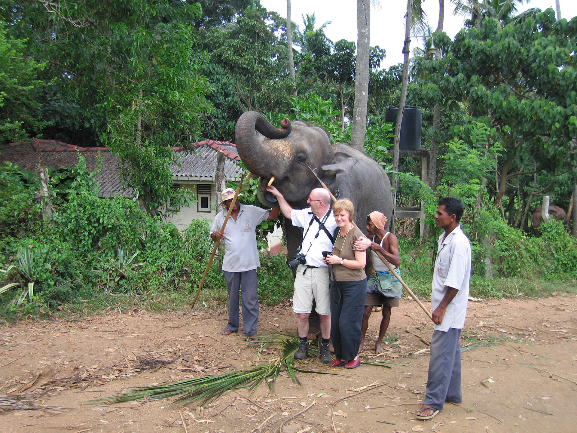 reis Sri Lanka