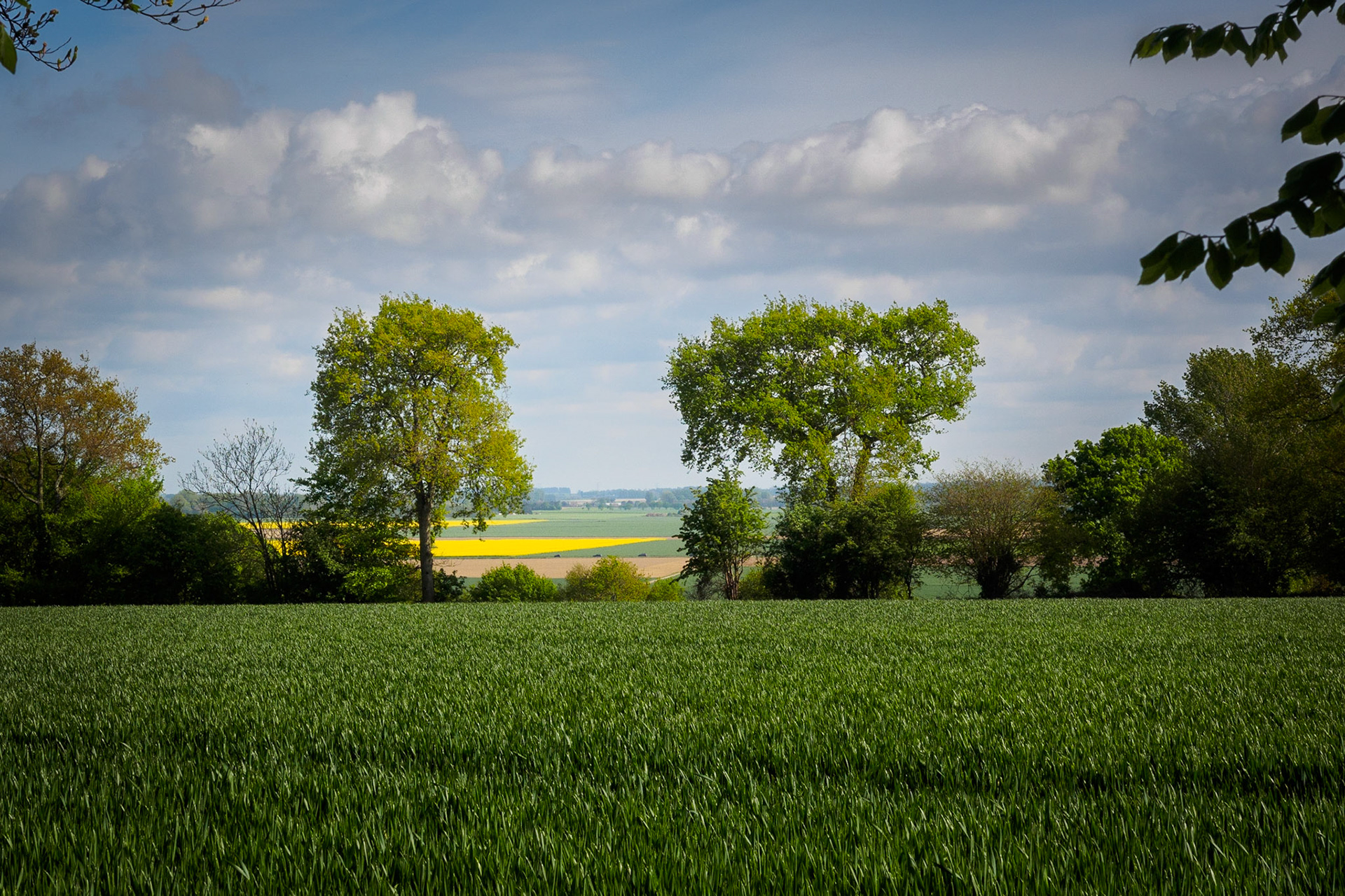 VarengevilleSurMer