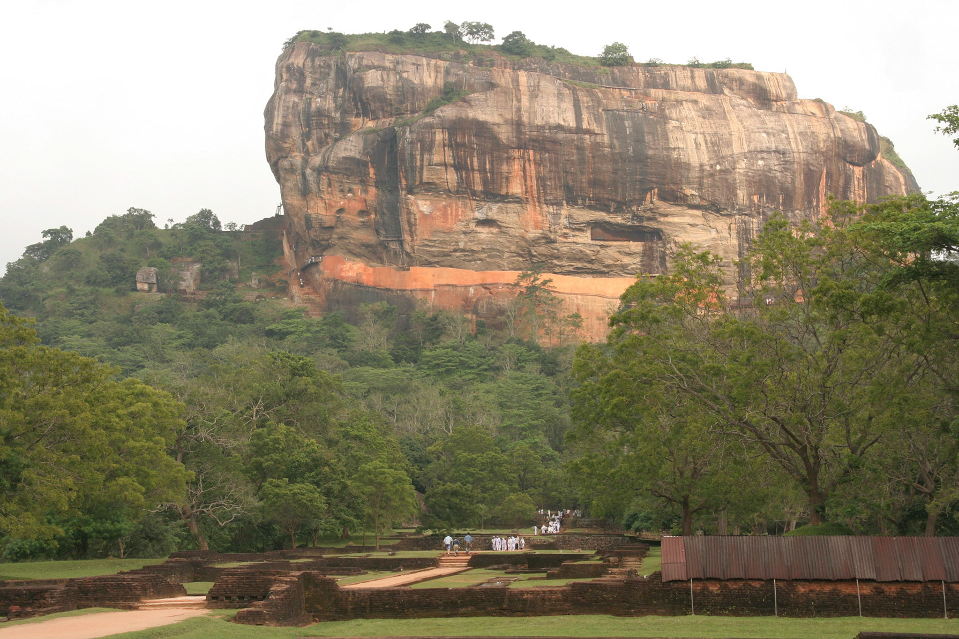 reis Sri Lanka