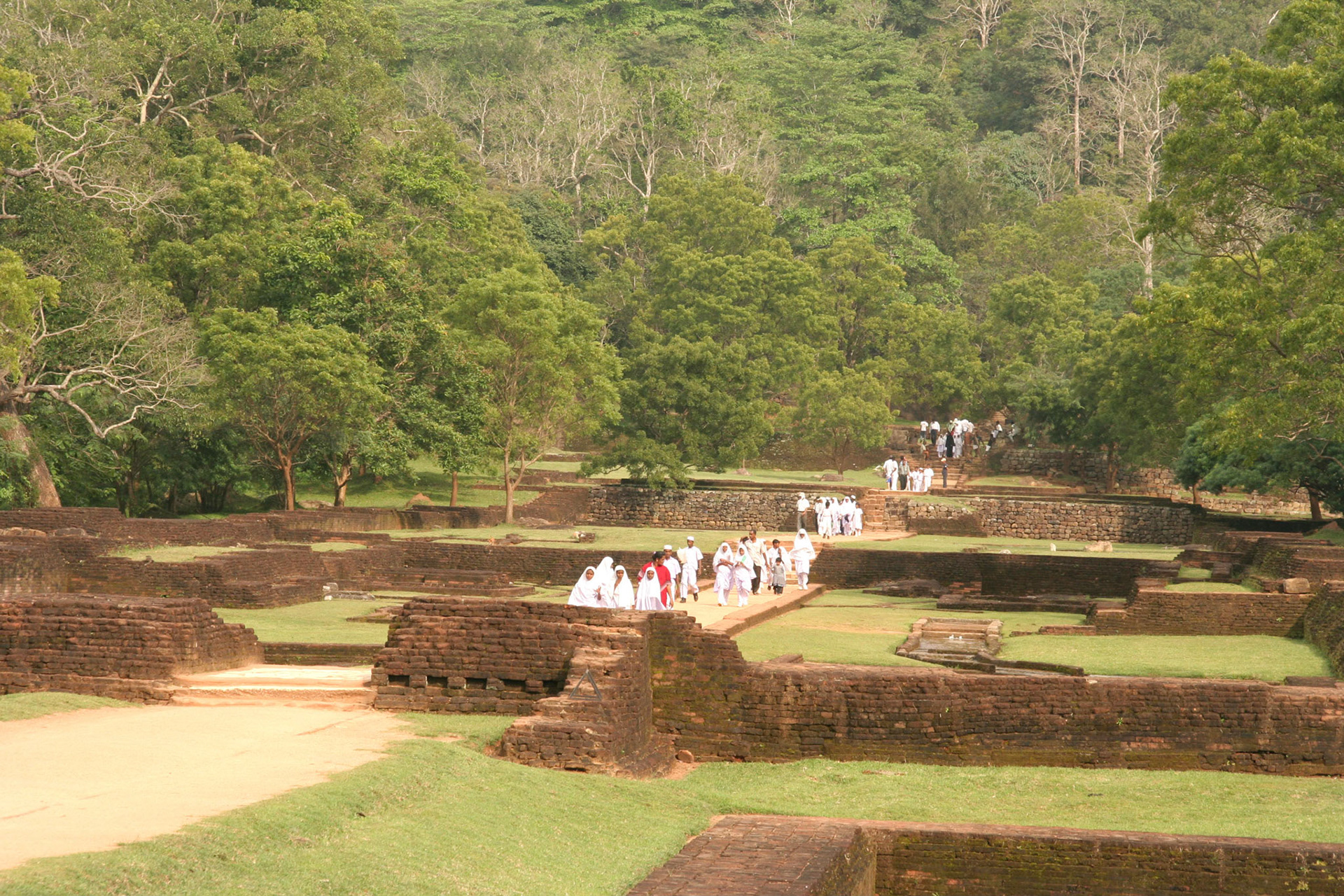 reis Sri Lanka