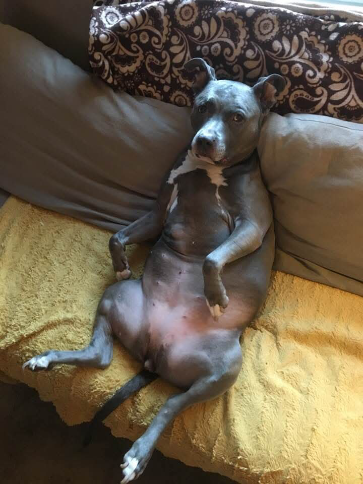Roxanne