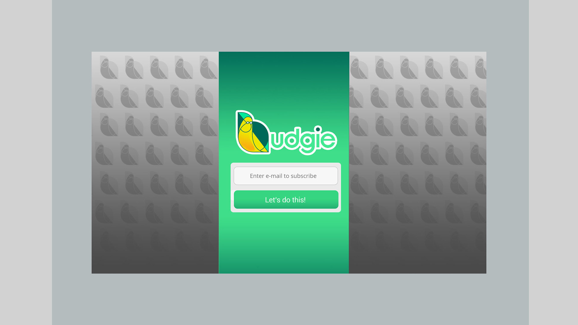 Collaborated with Johnny Allison on Branding Budgie from Scratch - My focus was tying brand, digital screens Ui/Ux together and assisting with concept and art direction for initial teaser campaign.