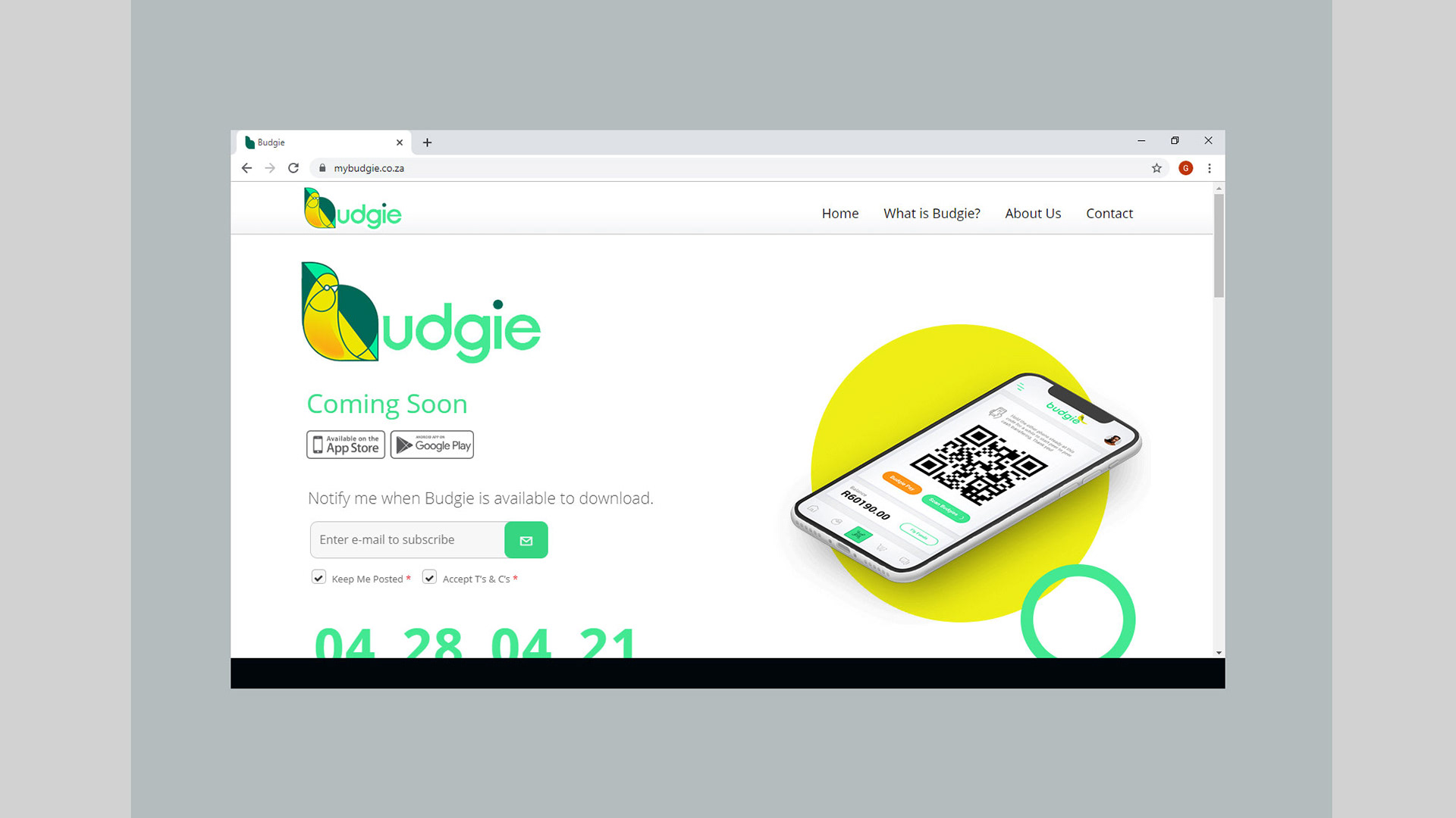 Collaborated with Johnny Allison on Branding Budgie from Scratch - My focus was tying brand, digital screens Ui/Ux together and assisting with concept and art direction for initial teaser campaign.