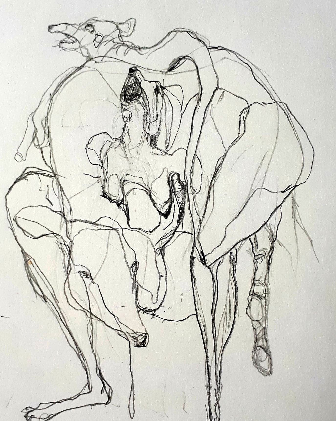 pencil on paper 2020