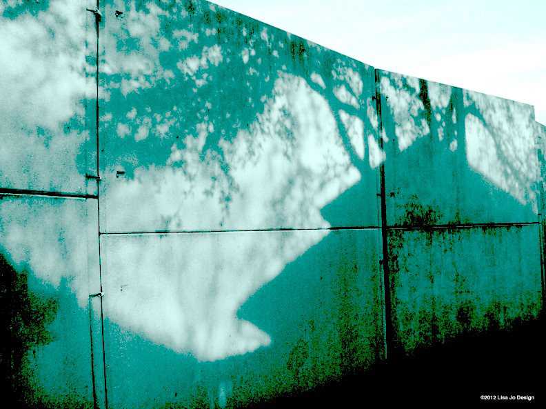 " Shadow Play" | Lisa Portzer | Austin, TX | 2012