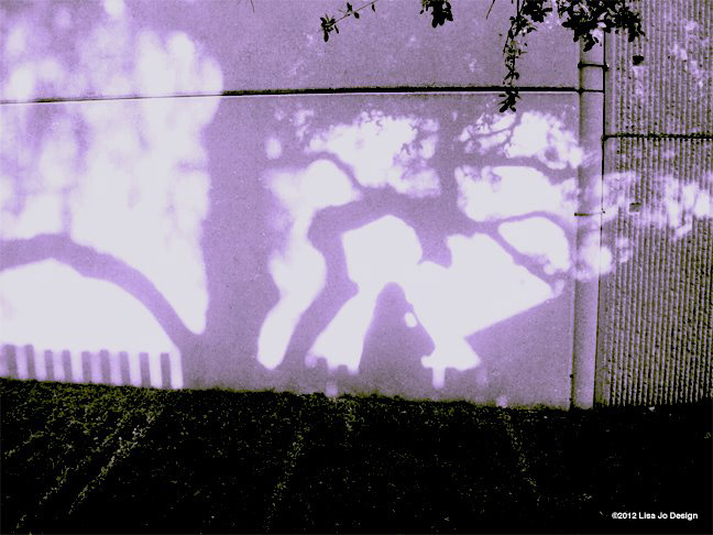 " Shadow Play" | Lisa Portzer | Austin, TX | 2012