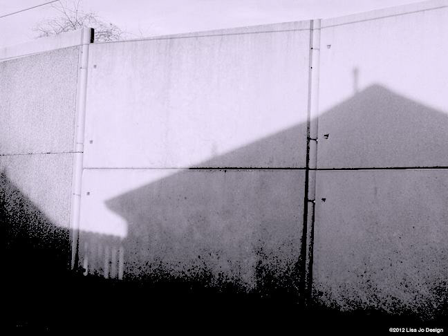 " Shadow Play" | Lisa Portzer | Austin, TX | 2012