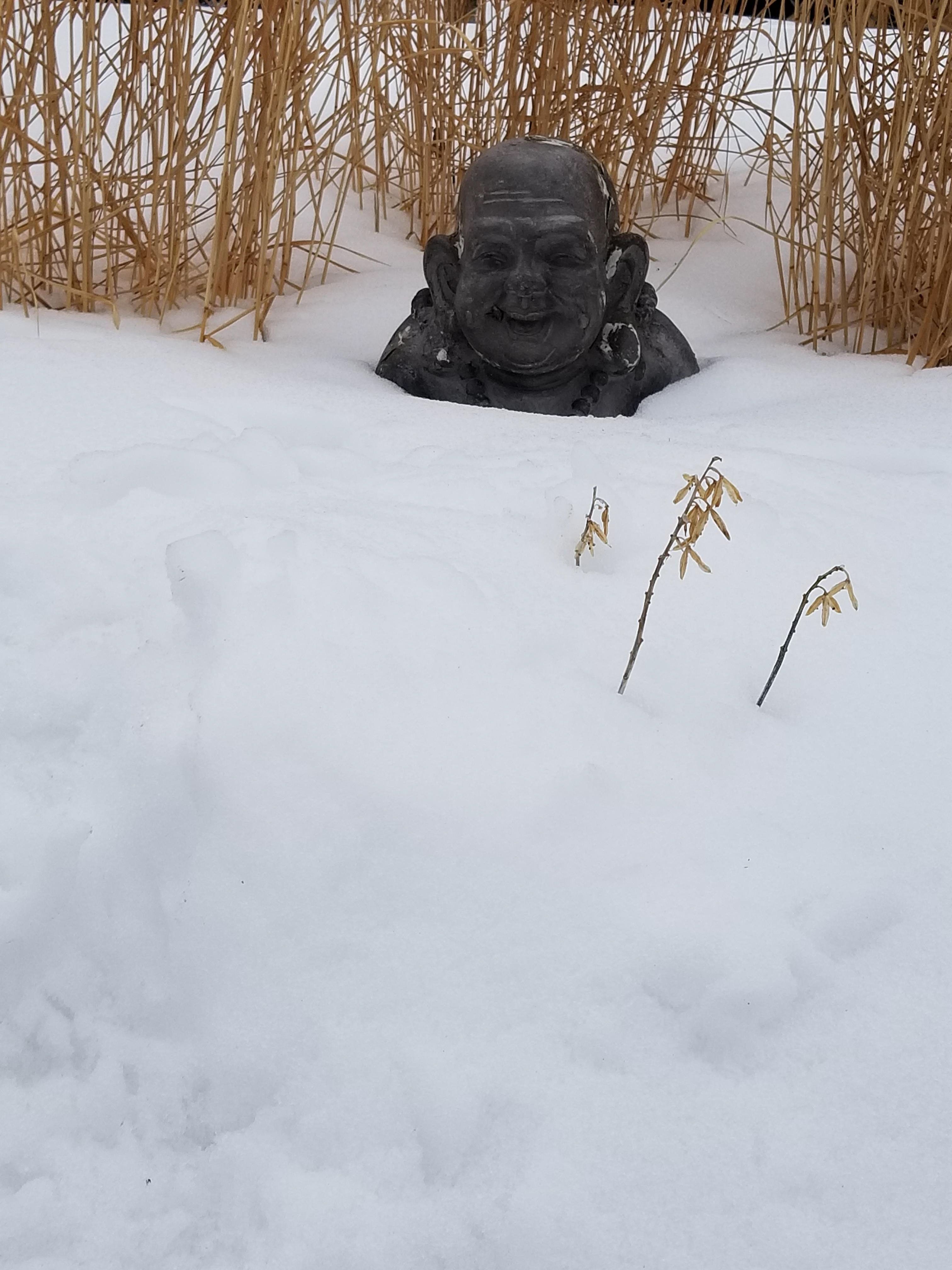 Minneapolis, MN (2019)