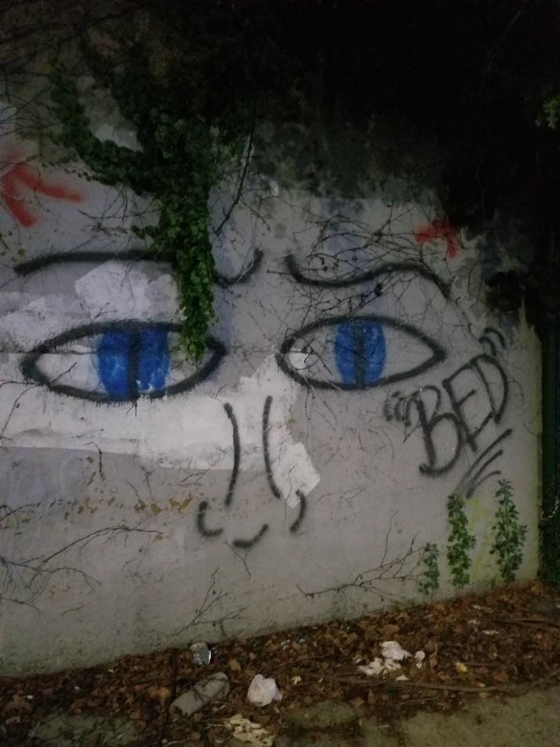 Urban Art, Queens, NY (2019)