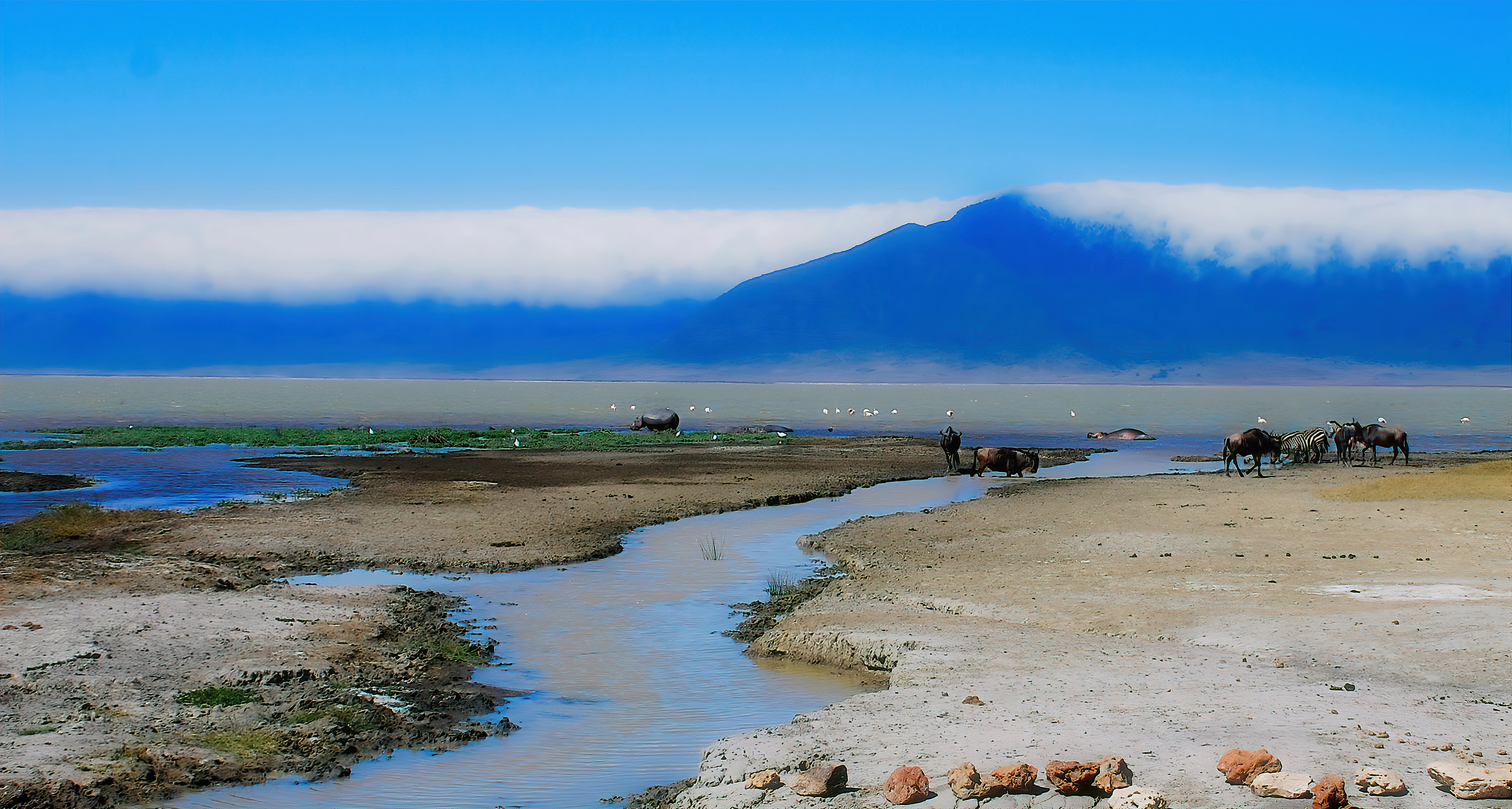 One of the most remarkable places in Africa is the Ngorongoro Crater, Tanzania. In addition to its rich variety of wildlife, the surrounding scenery is breathtakingly beautiful, making it a place very hard to forget.
