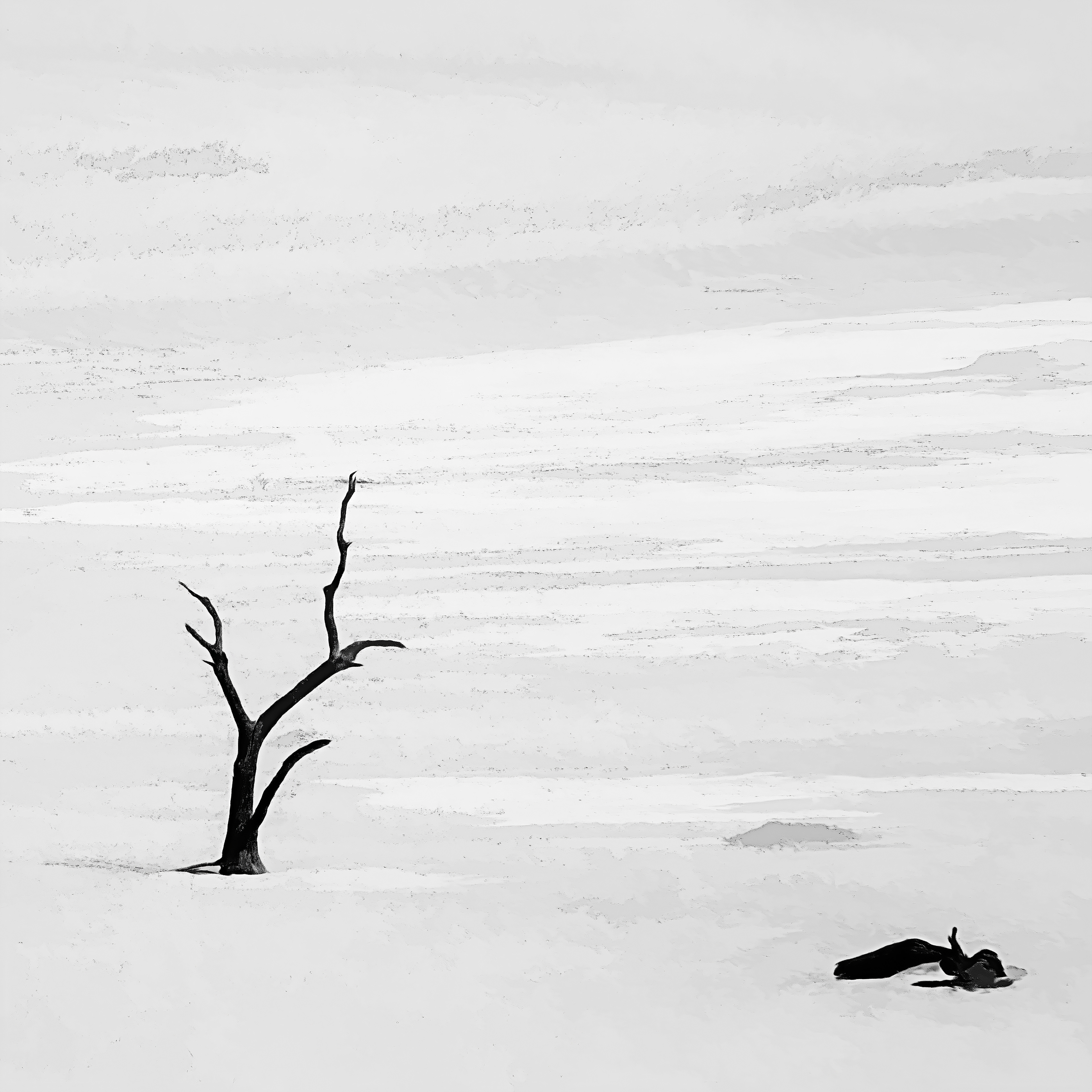 The remains of a tree stand in contrast against one of the dunes bordering Deadvlei.