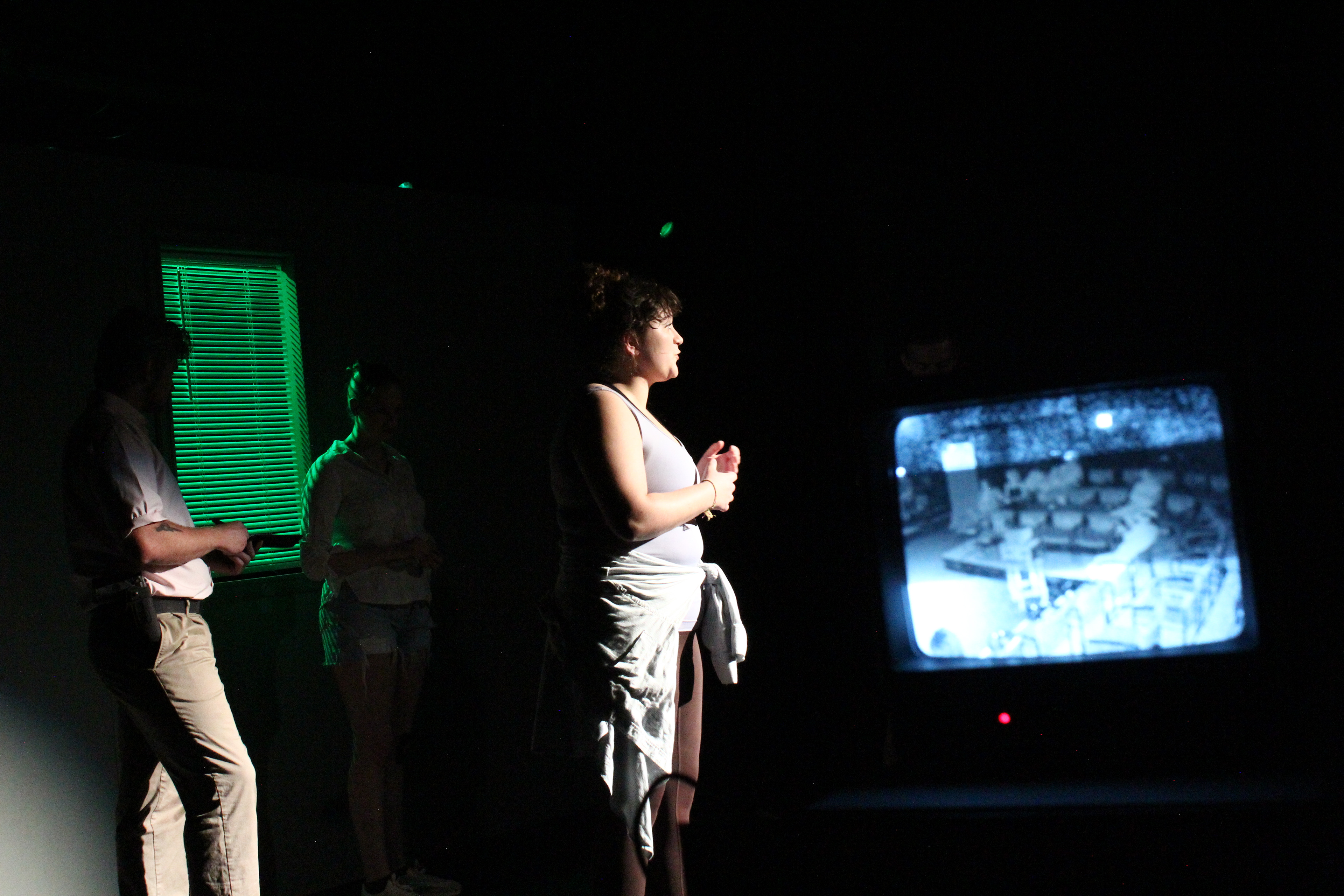 Zoe Nolan as Reality Winner (memoir)