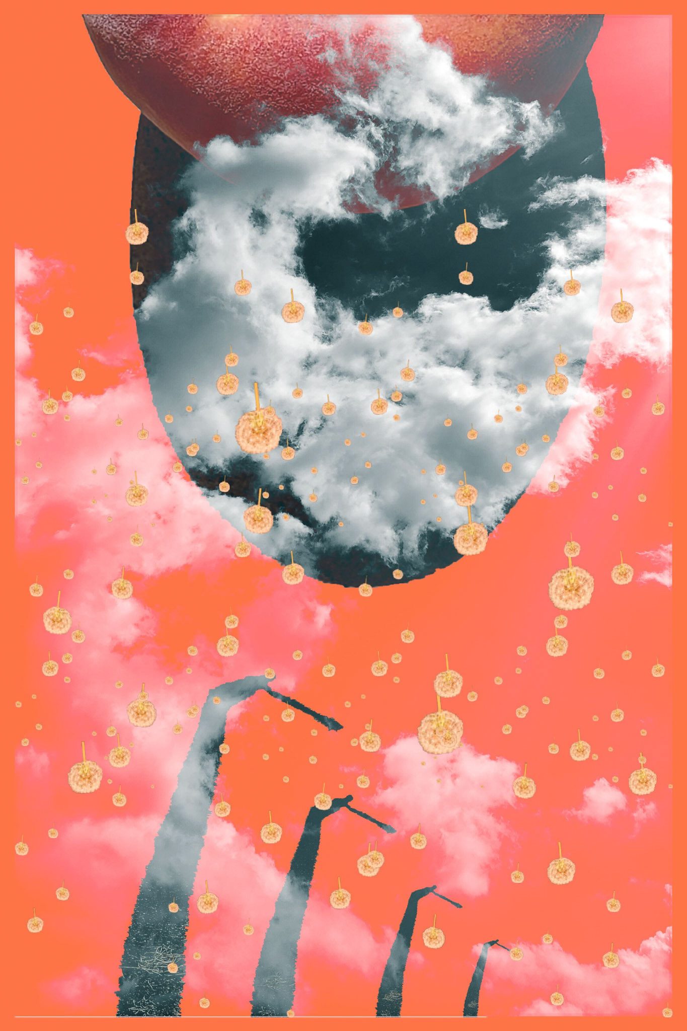 The Harvest