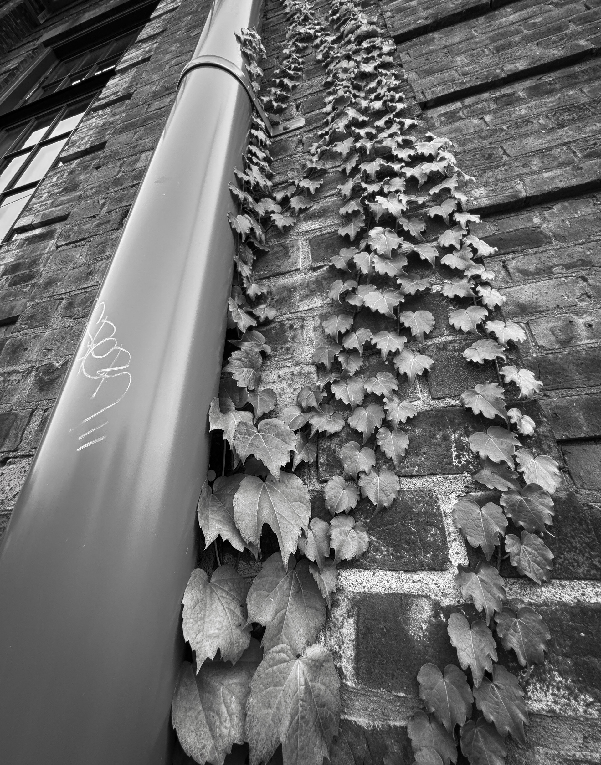 climbing up a wall