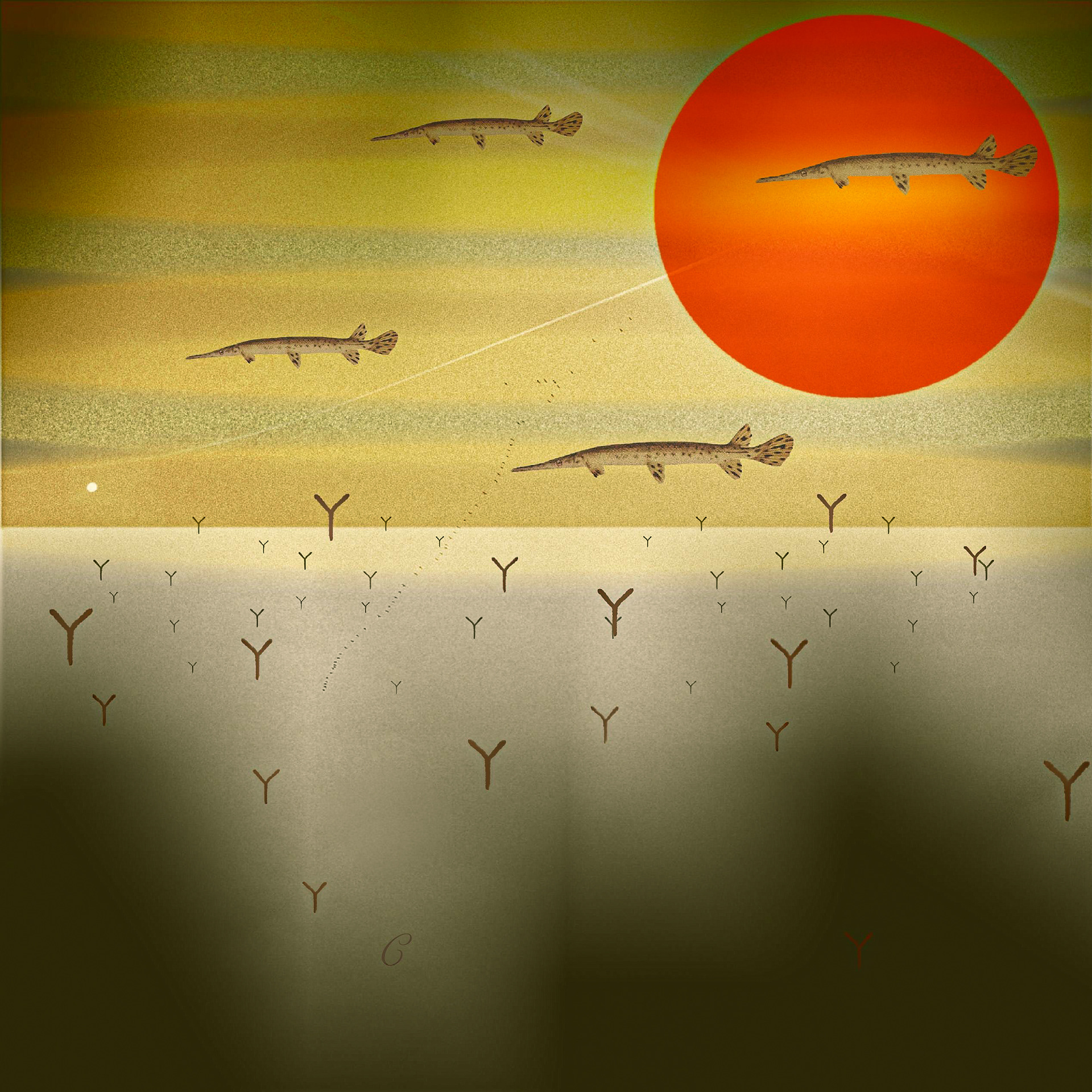 Dessert Sea