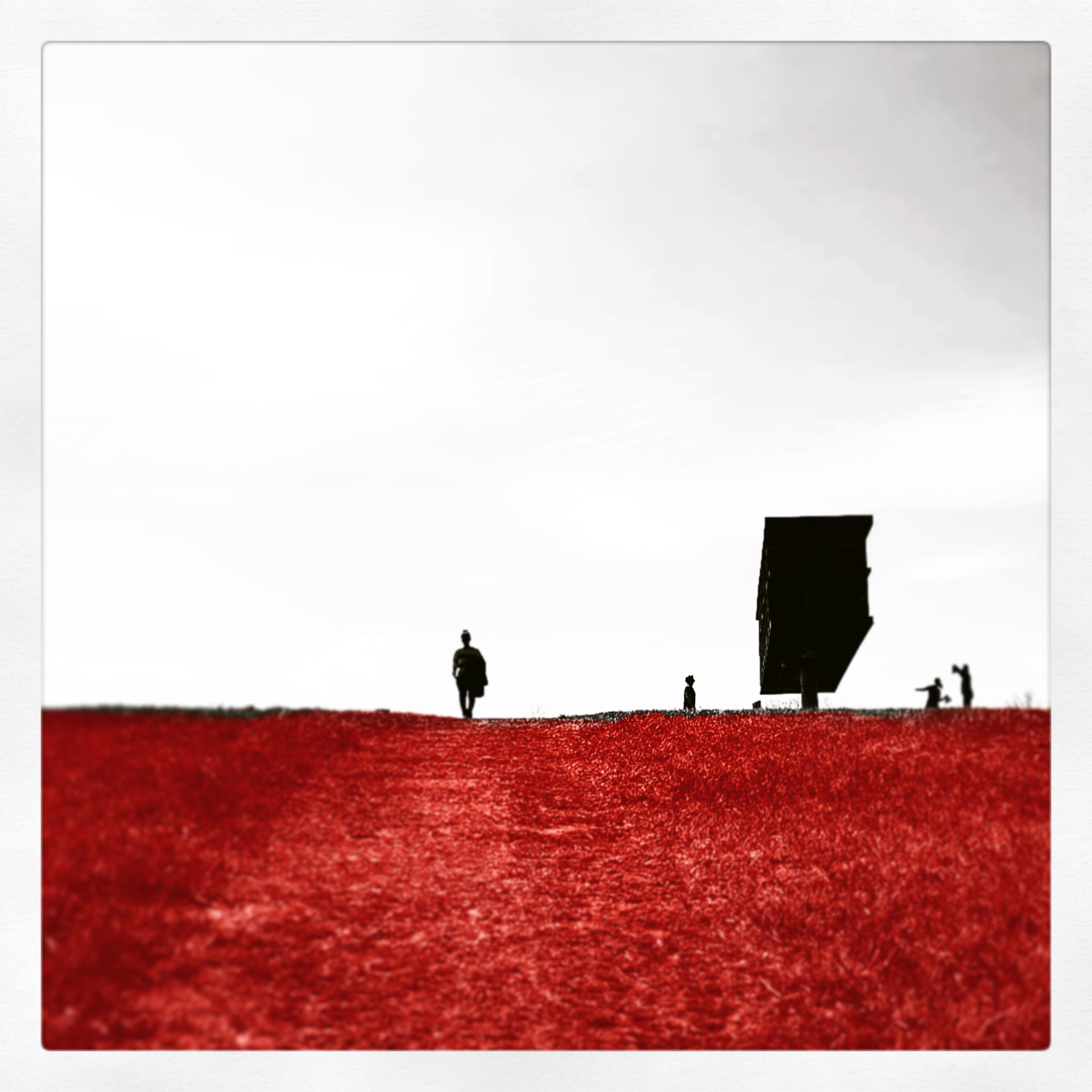Red Lawn