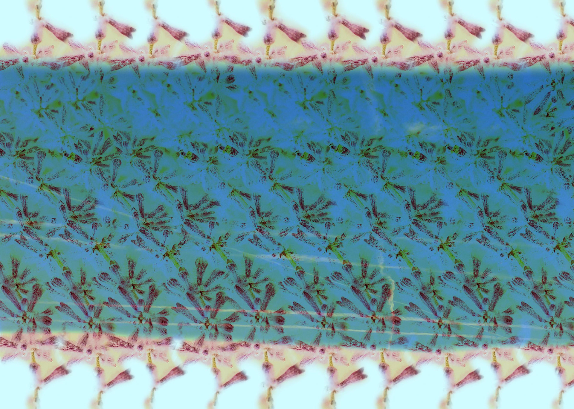 Under the Sea