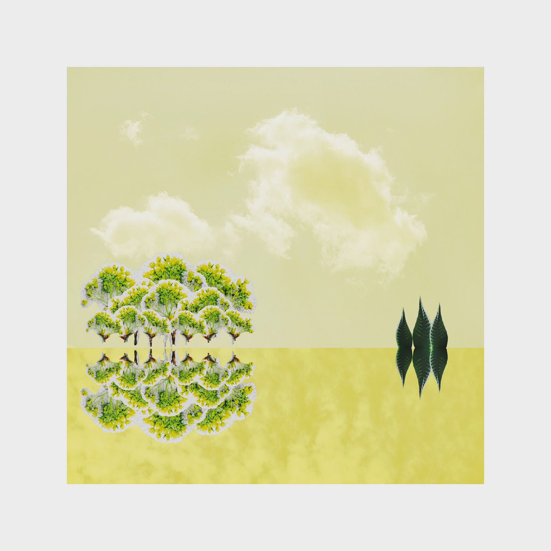 Arid Landscape