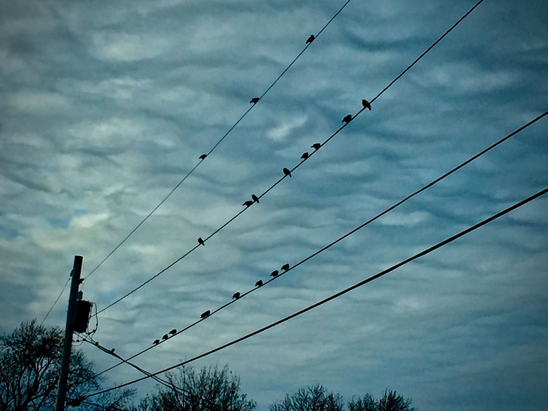 The Gathering of the Flock