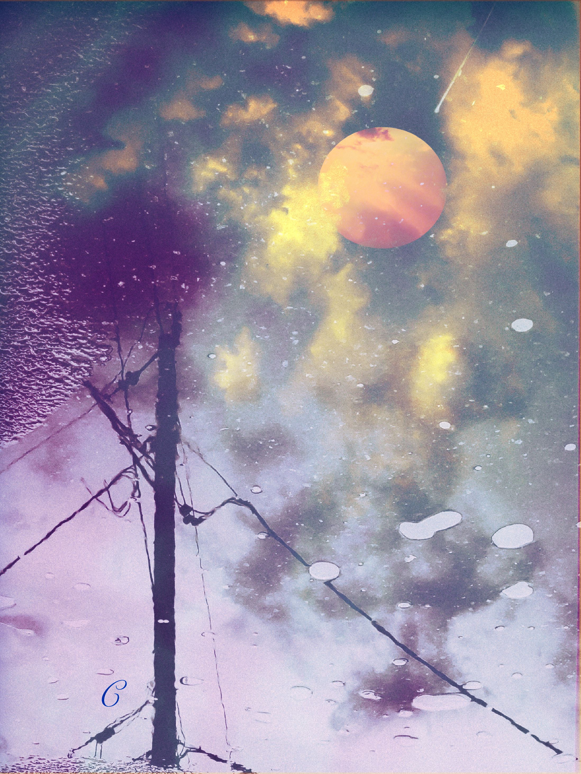 Purple & Yellow