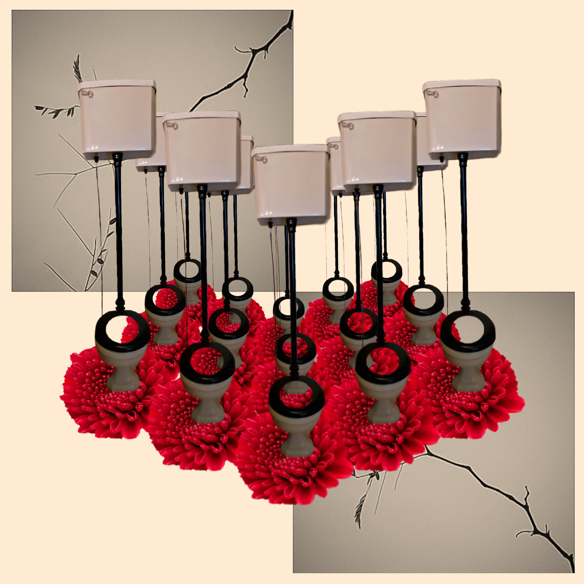 Toilet Display