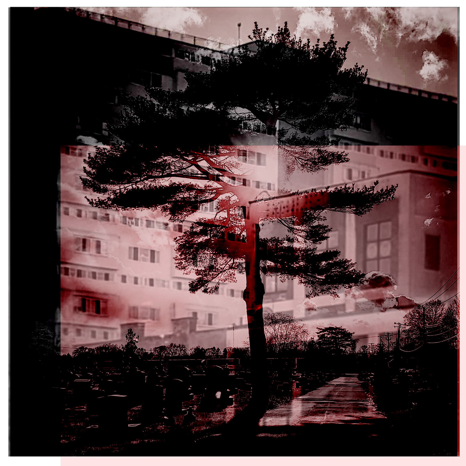 City Tree