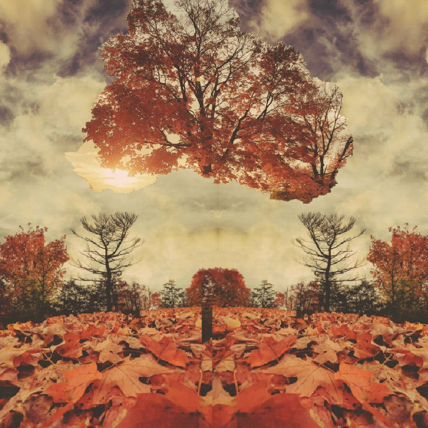 Fall in New York