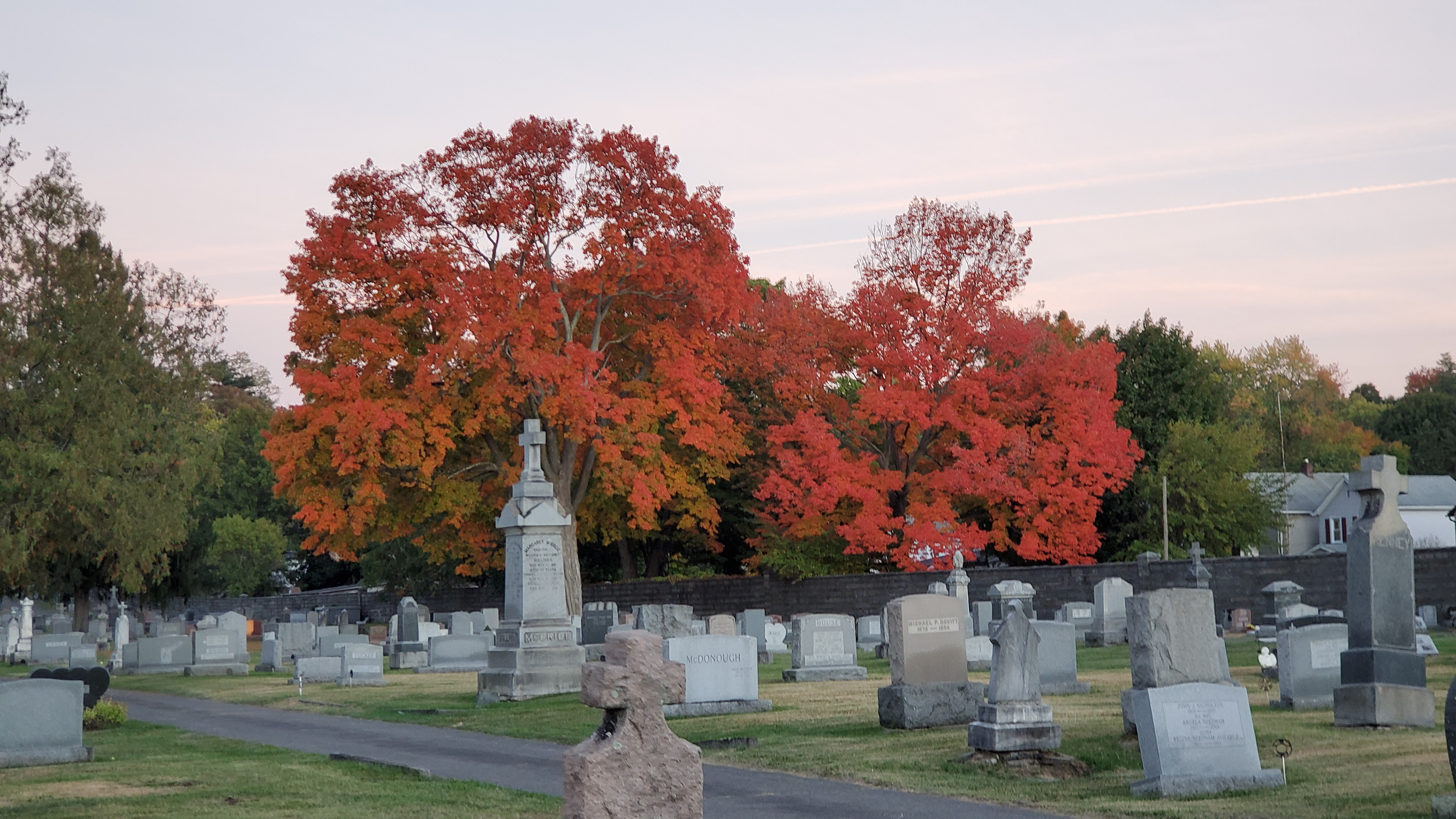 Cemetary Red