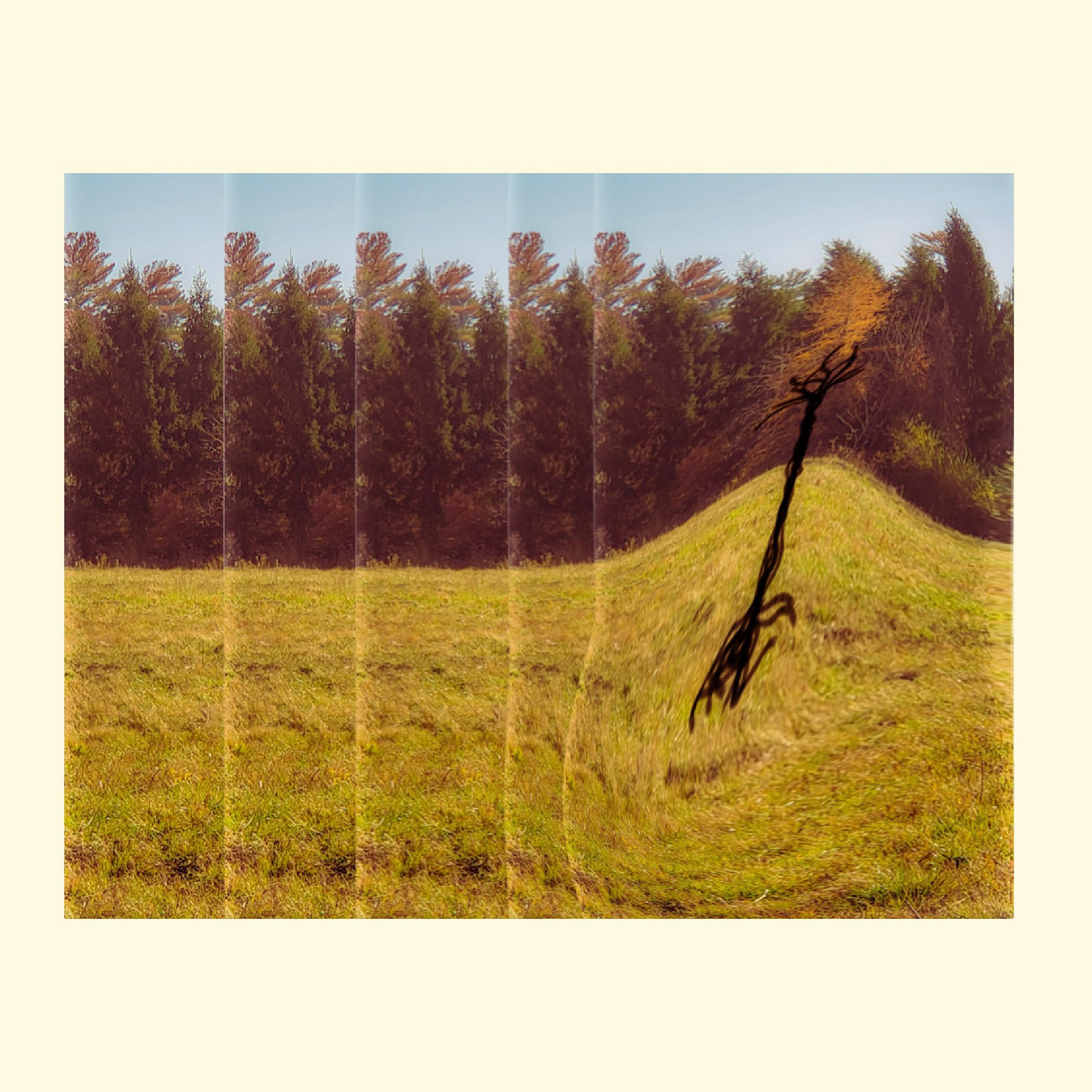 Disturbances in the Landscape
