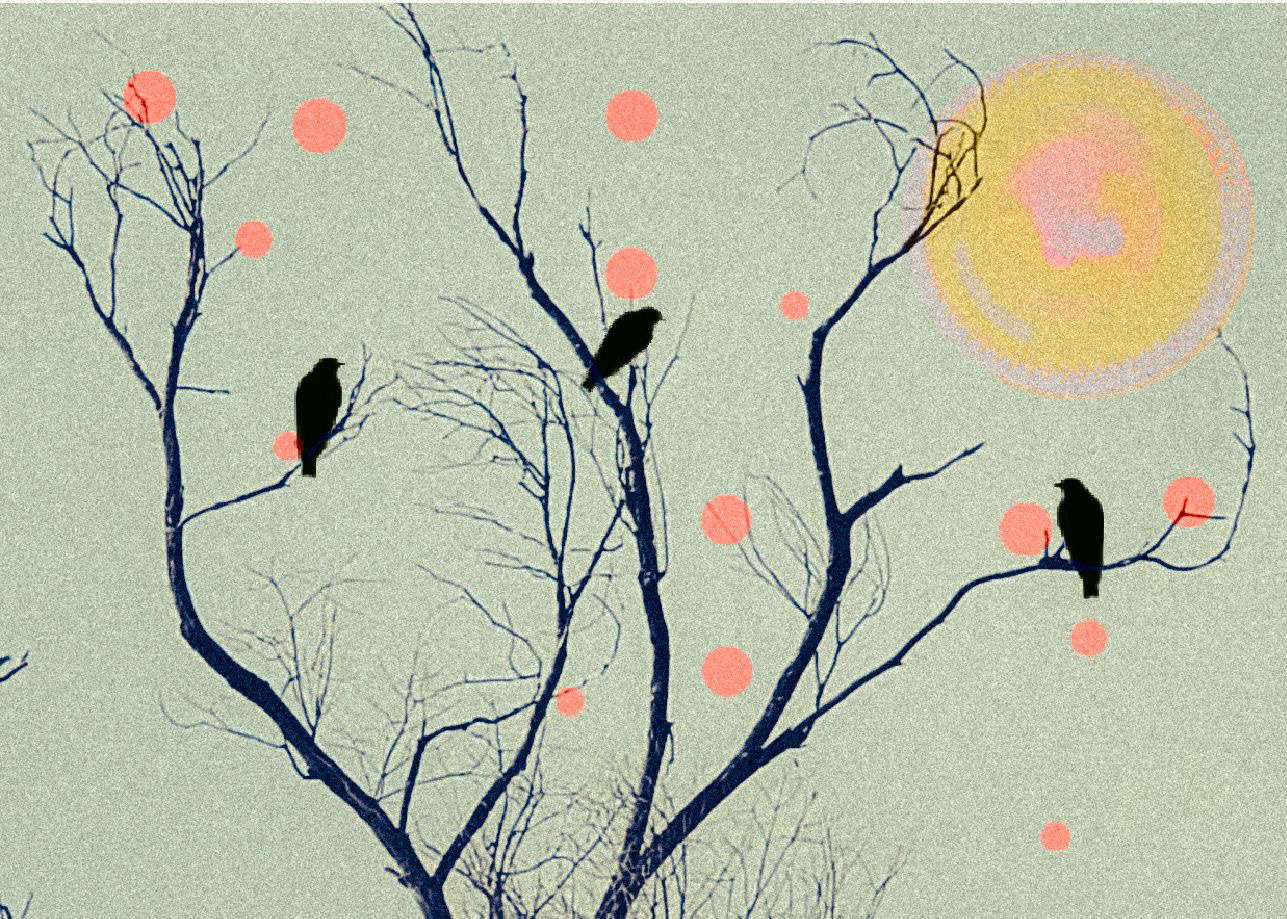Meeting, Nearing Dusk