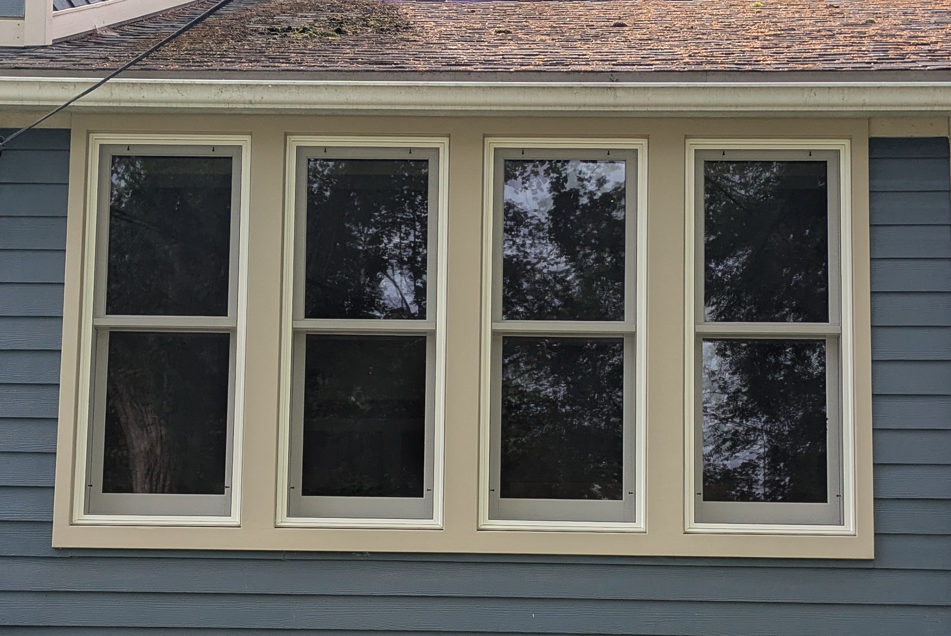 New Windows for a Historic Home