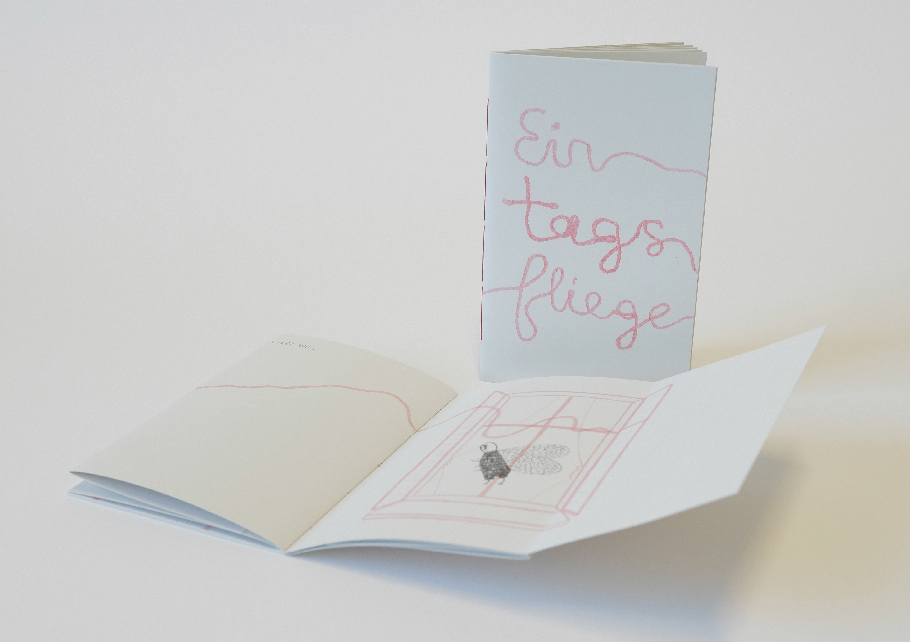 Joana Meyerdierks Gomes Coelho