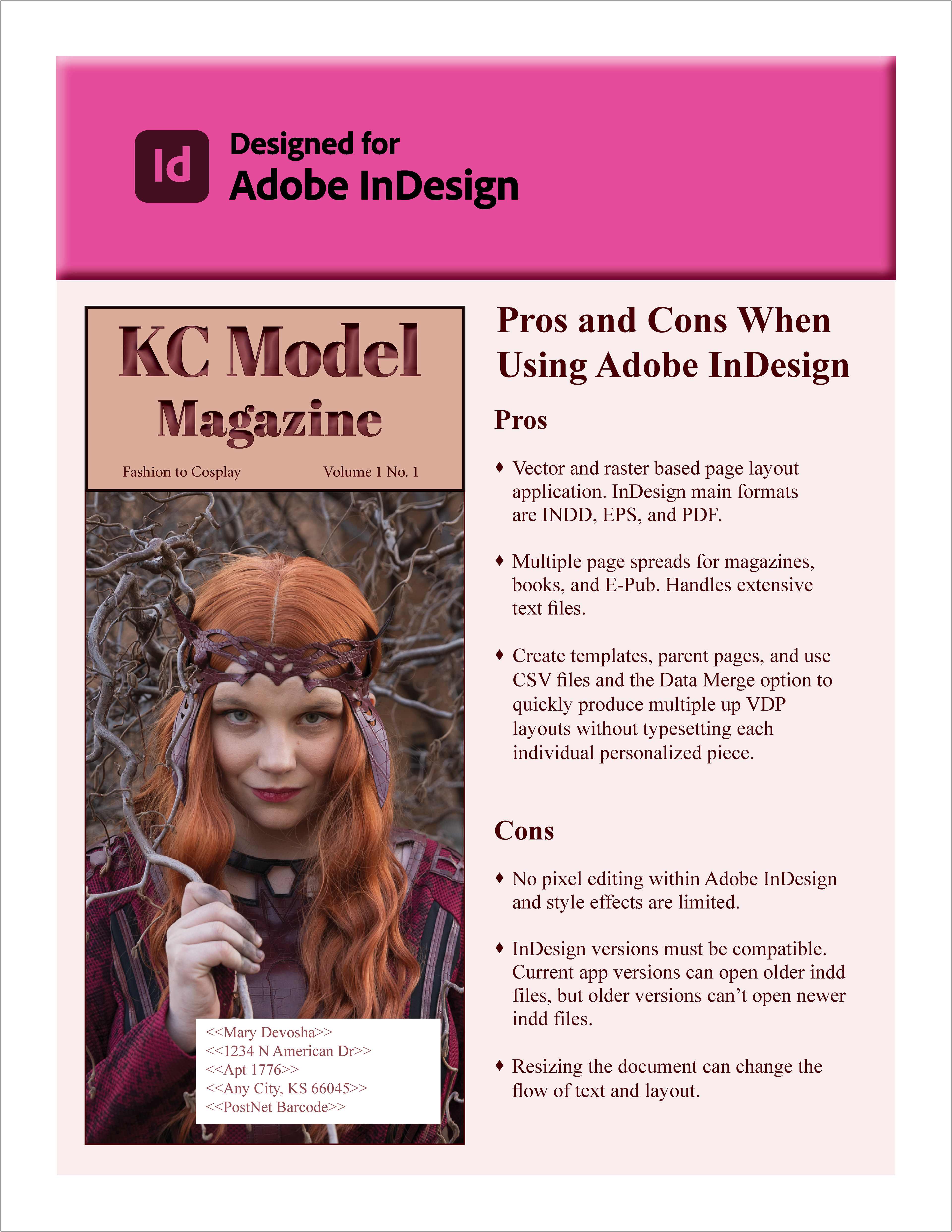 Cover image created in Indesign. Infographic created in Illustrator