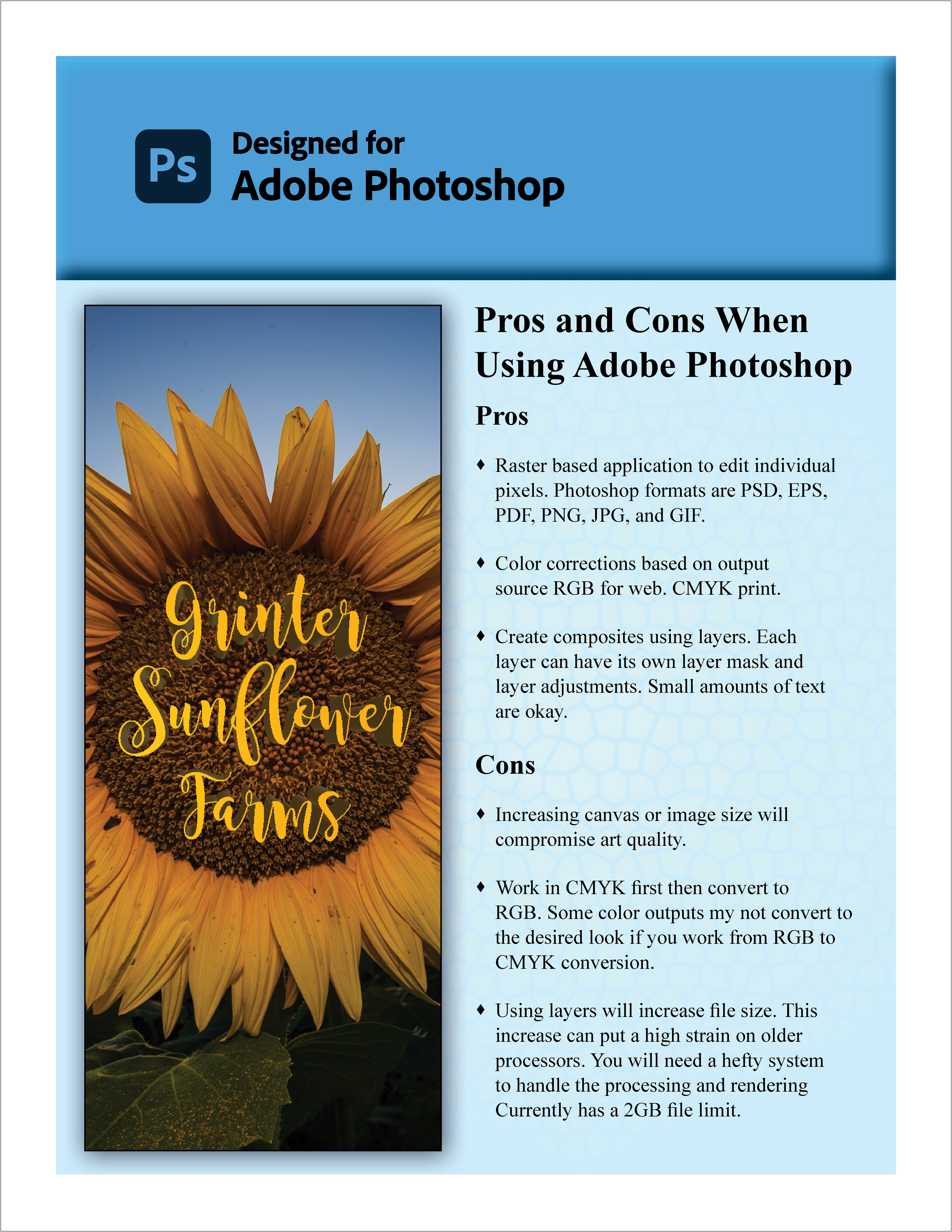 Image edits in Photoshop. Infographic created in Illustrator