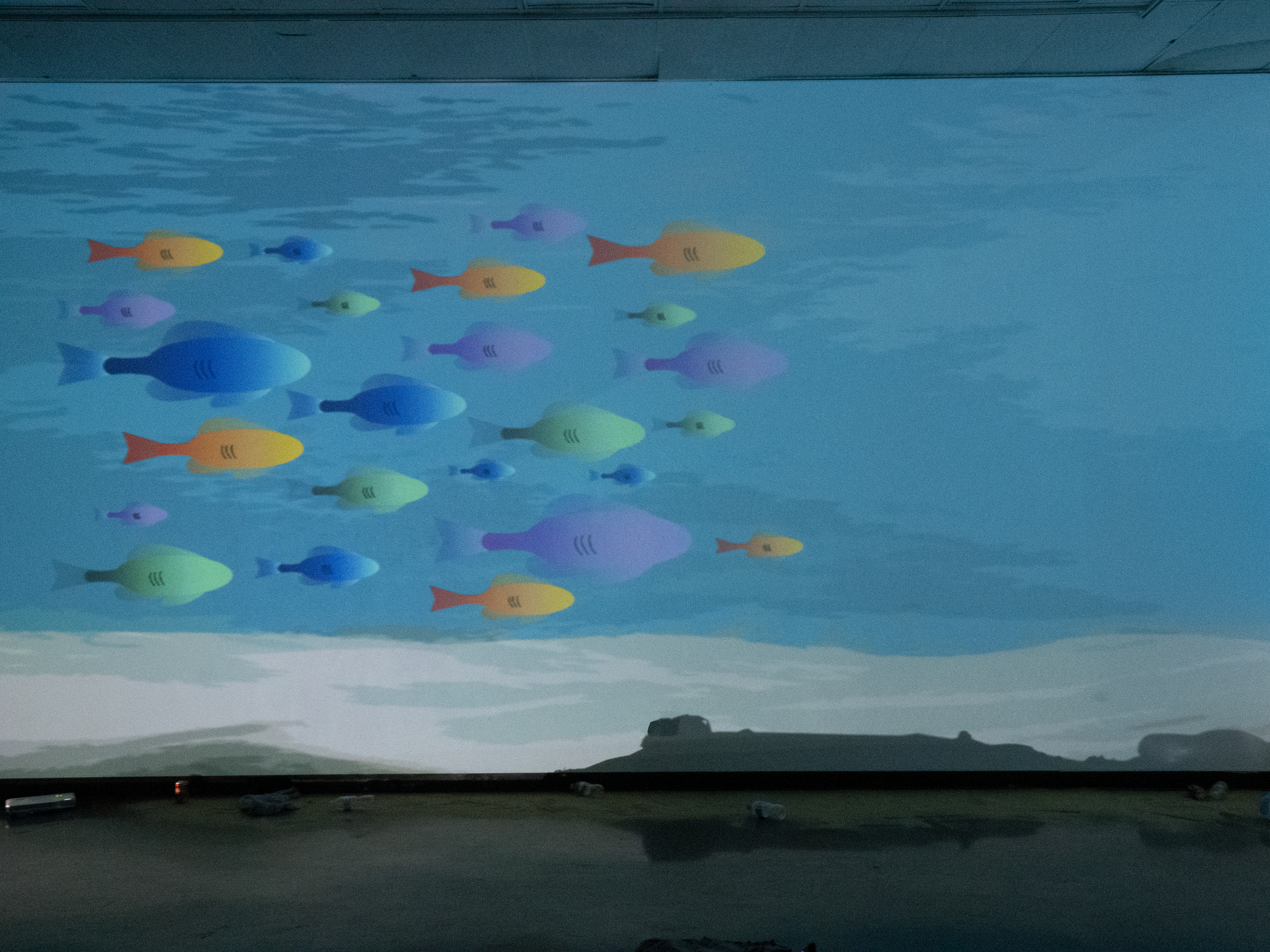 Fish (Clean)