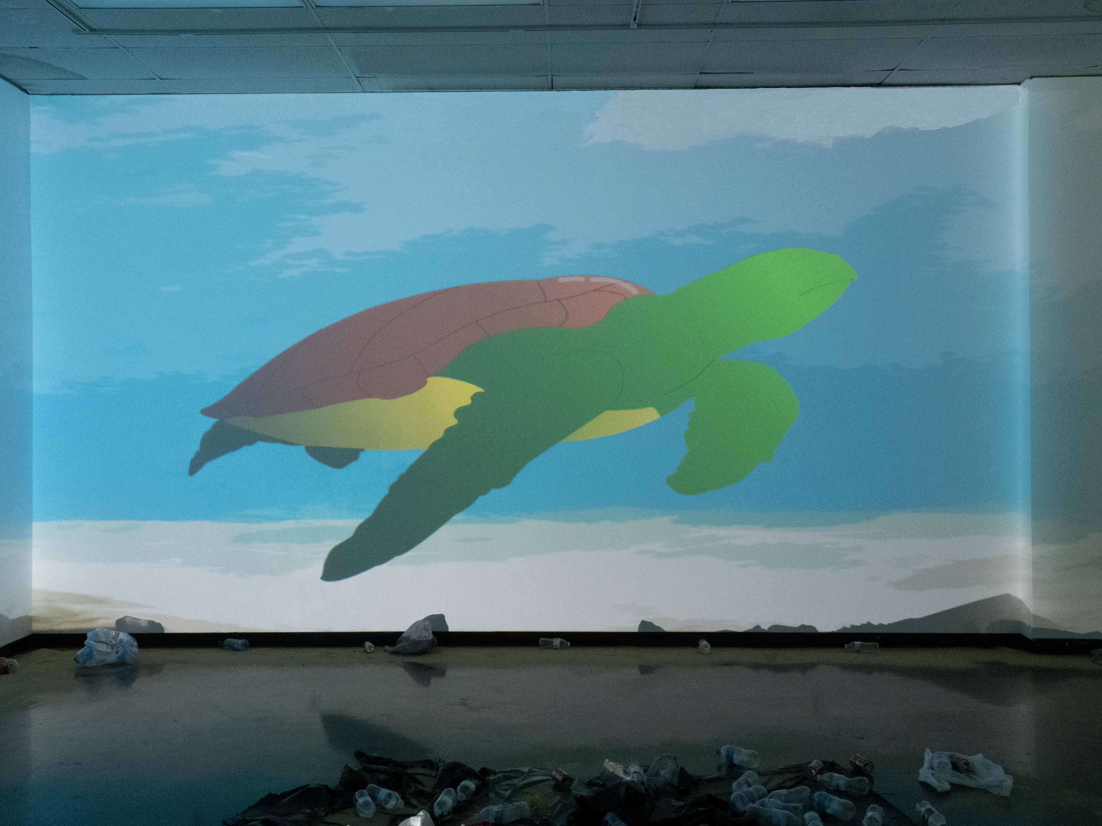 Turtle (Clean)