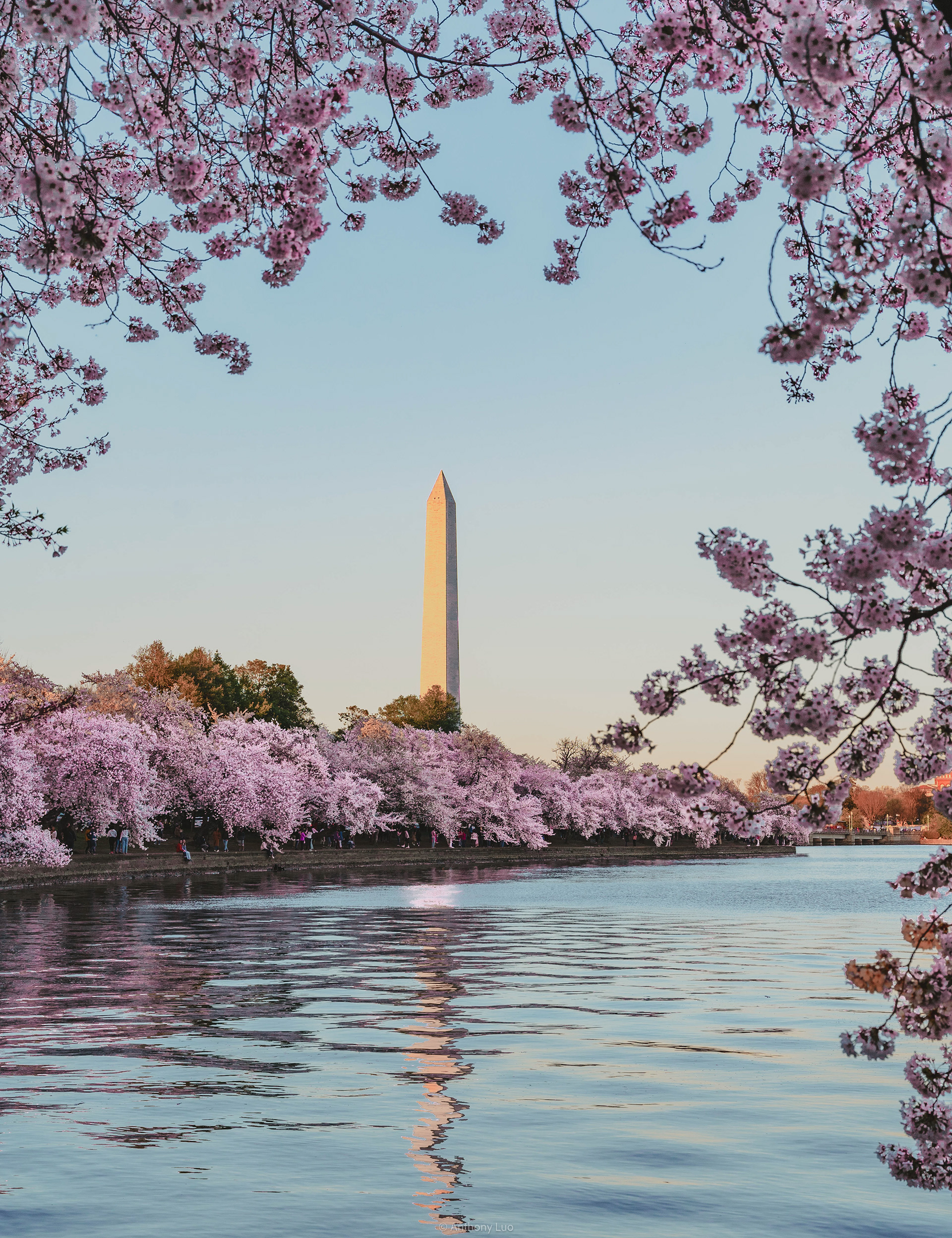 Washington, DC